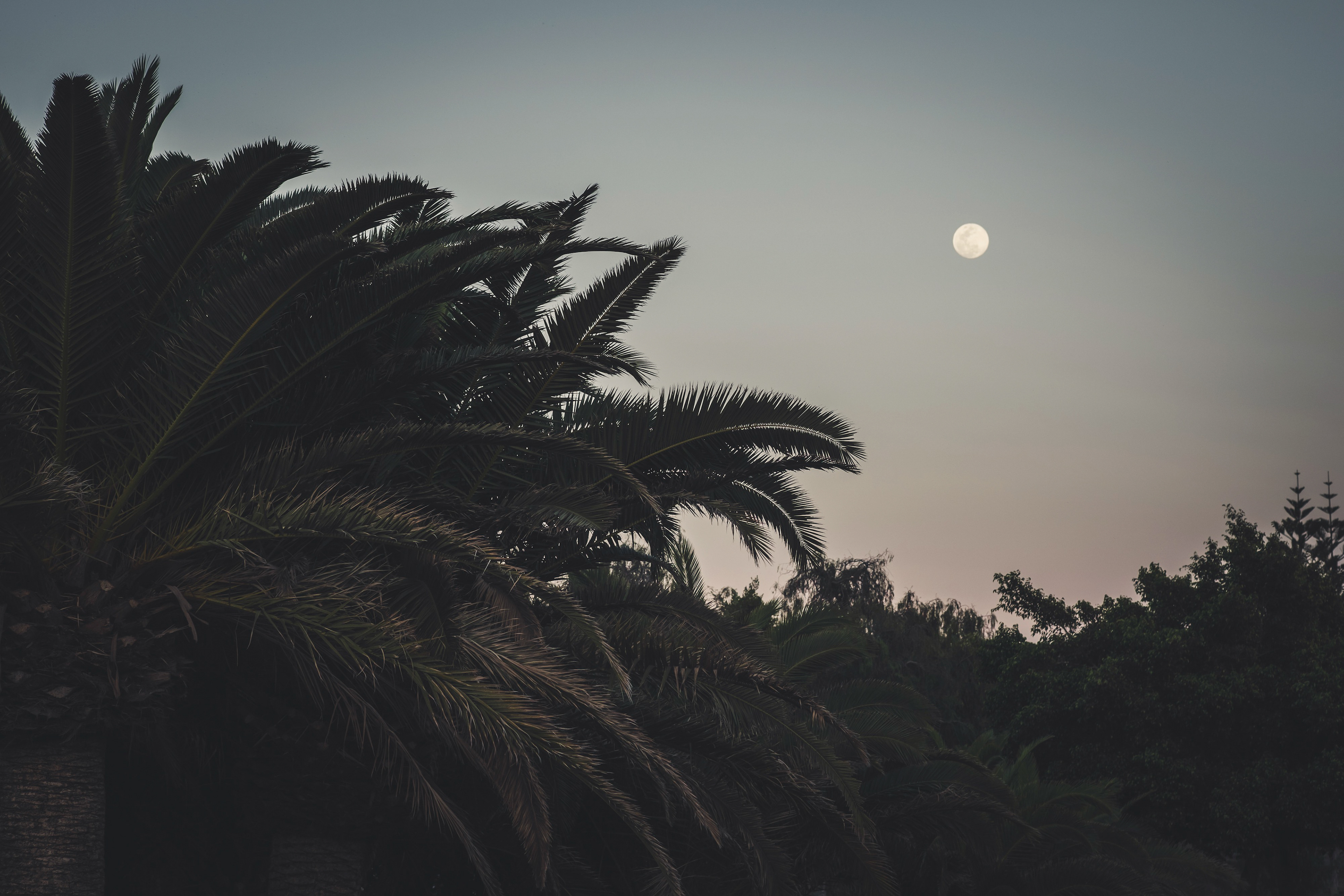Gran Canaria