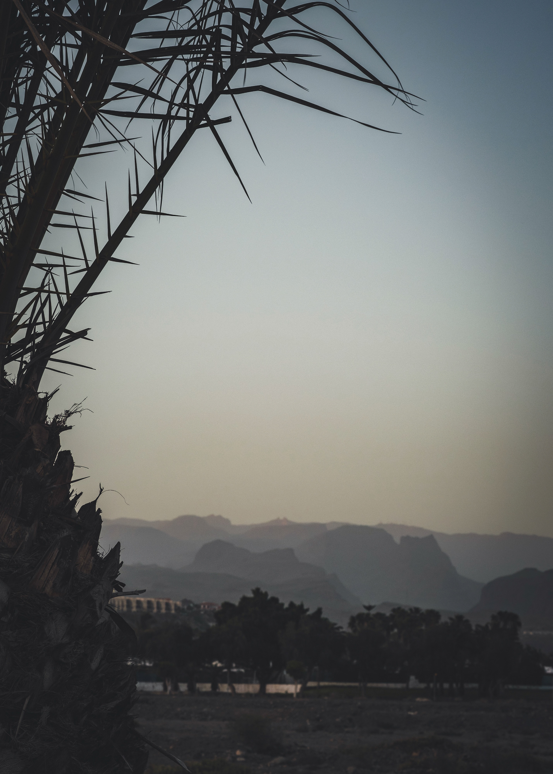 Gran Canaria