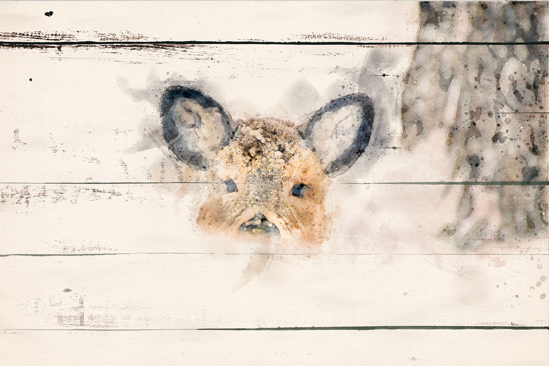 rustic vintage wooden background