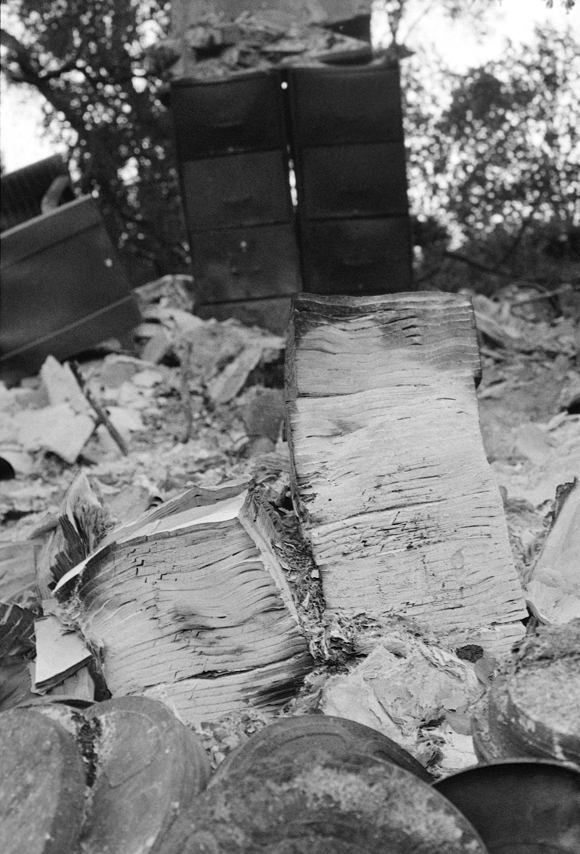 Ash & Paper