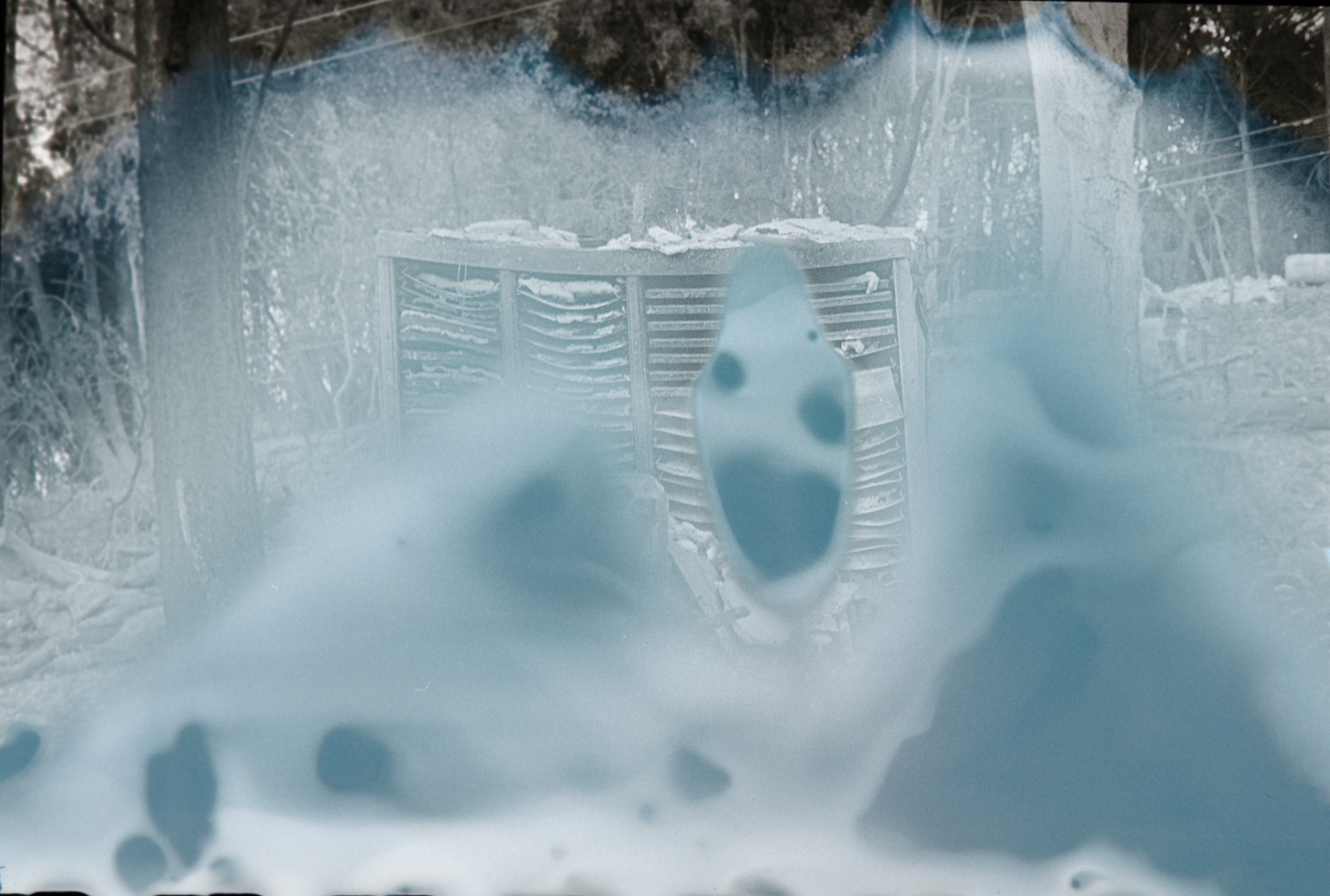 Ghost / Type Shelf