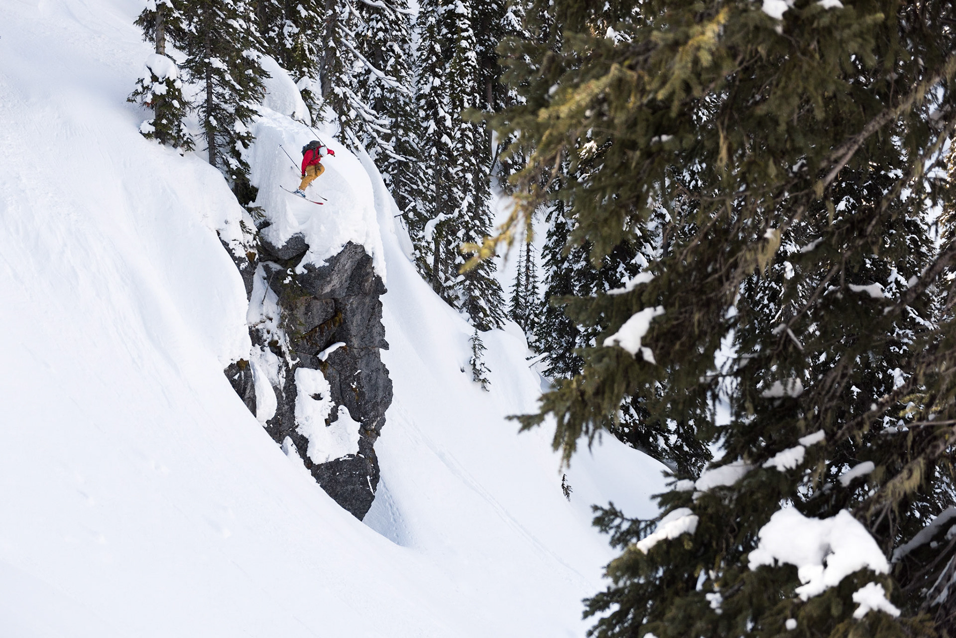 Jay Starnino, Red Mountain