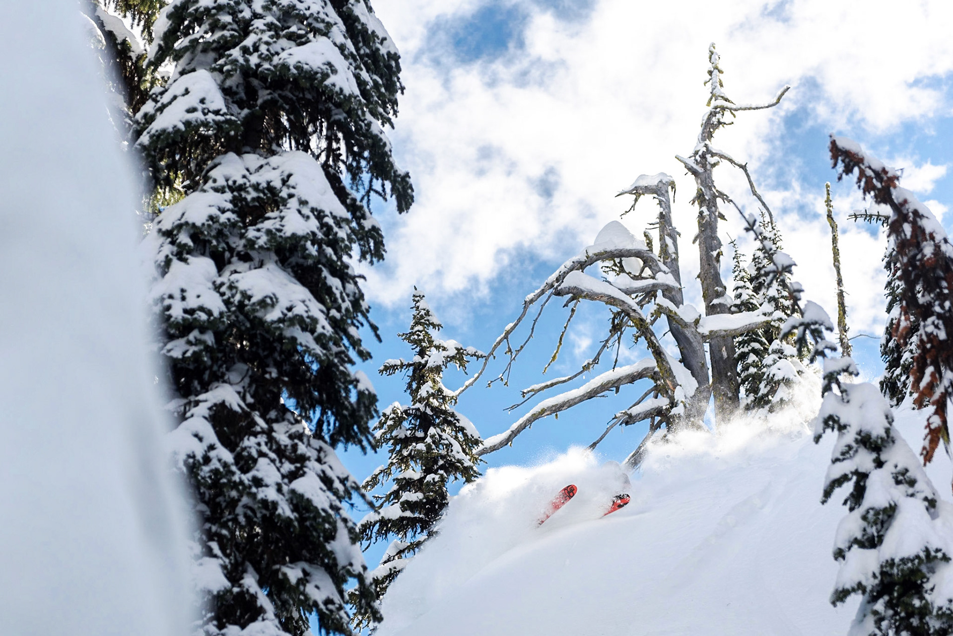 Jay Starnino, Red Mountain