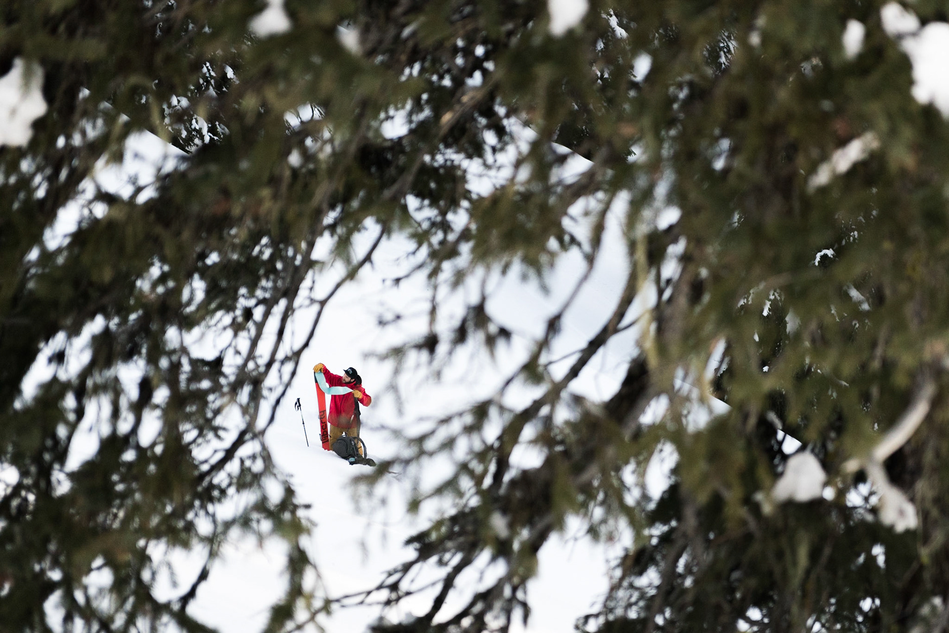 Jay Starnino, Red Mountain