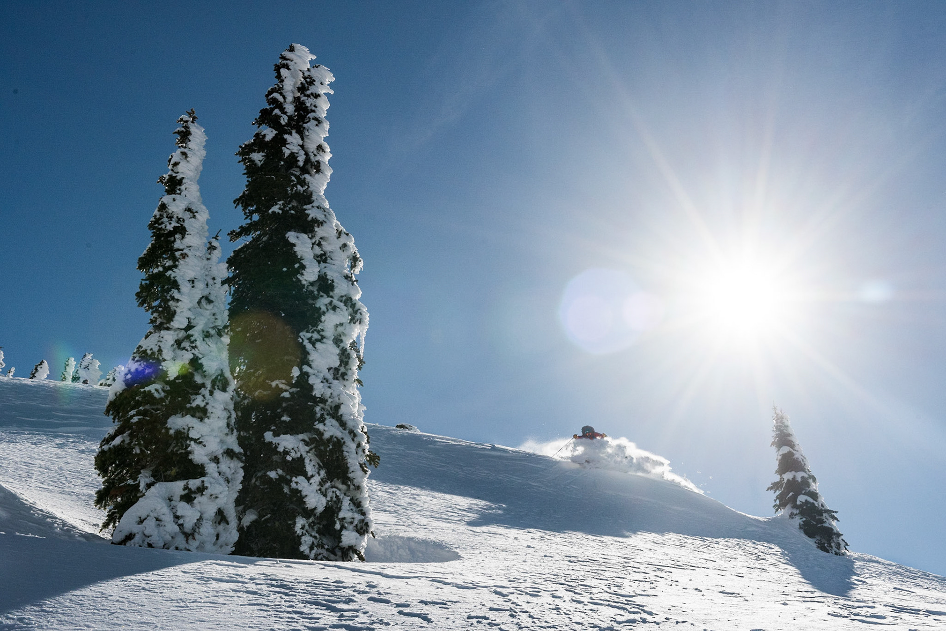 Jay Starnino, Red Mountain