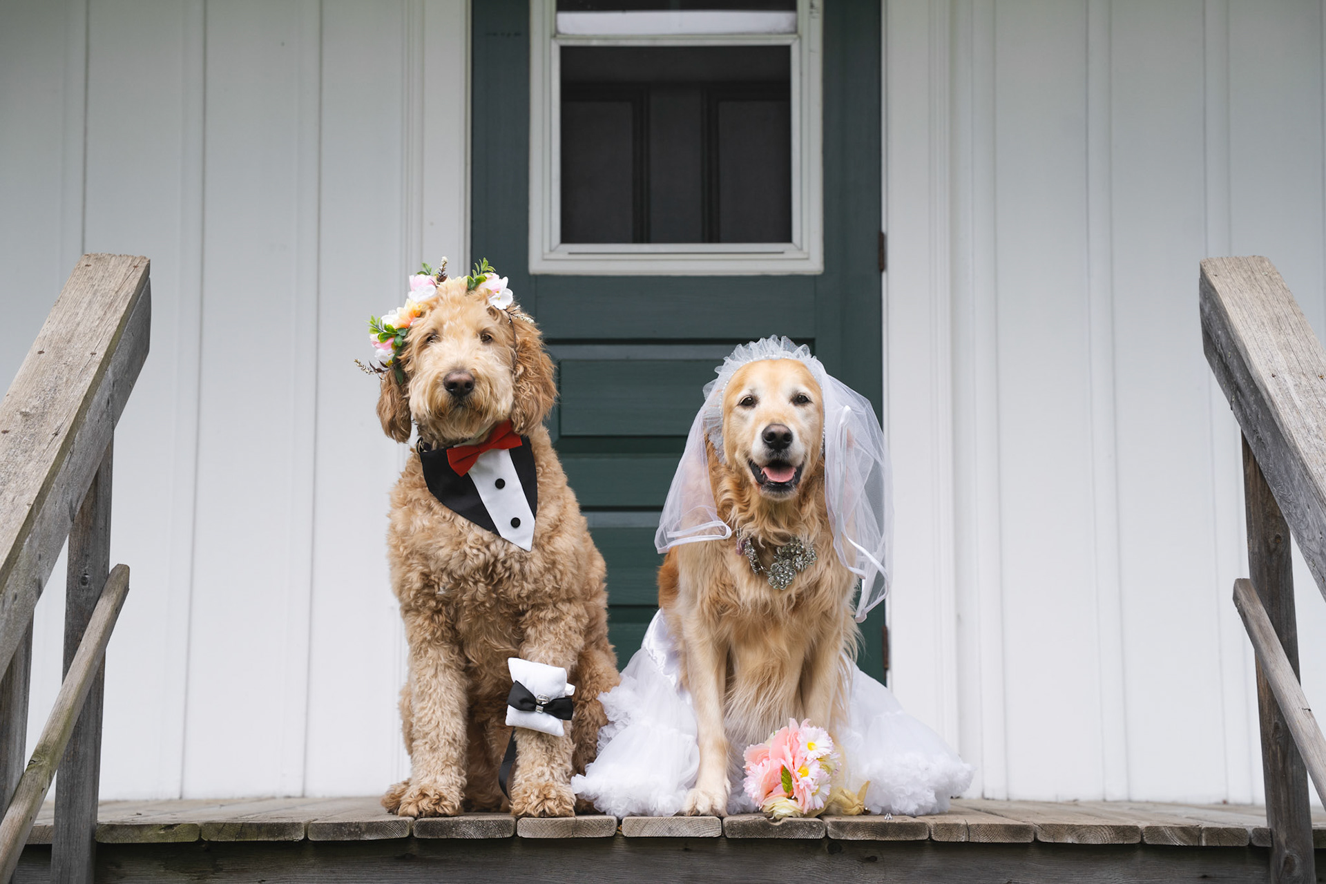 Themed Photoshoot