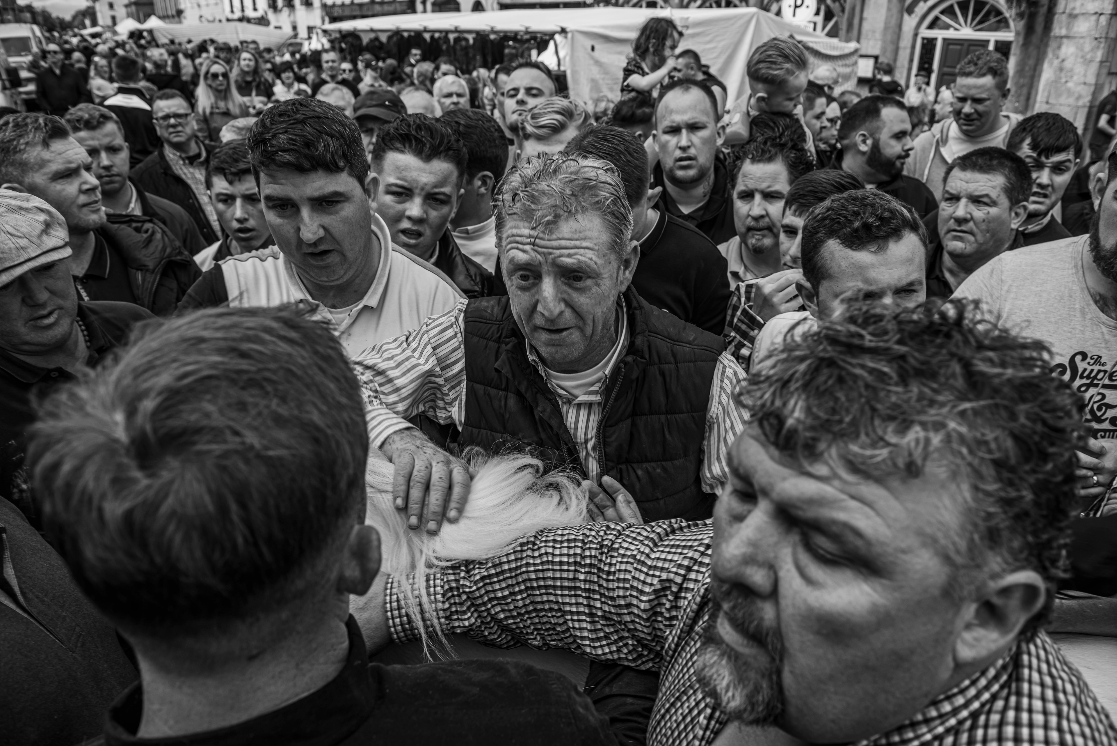 A Horse for My Kingdom Ballinasloe Horse Fair, Ireland.2016