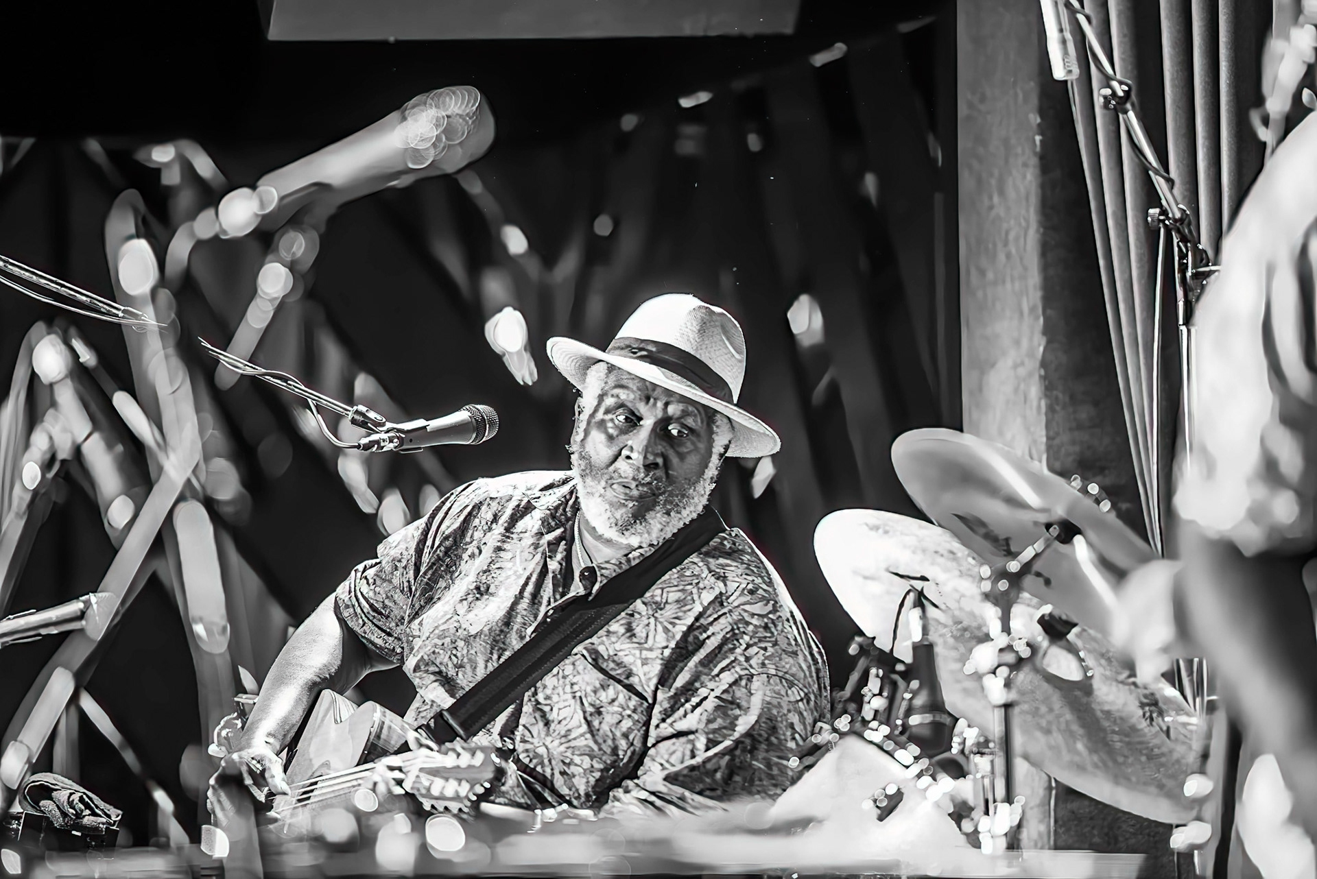 Taj Mahal Blue note Jazz N.Y 