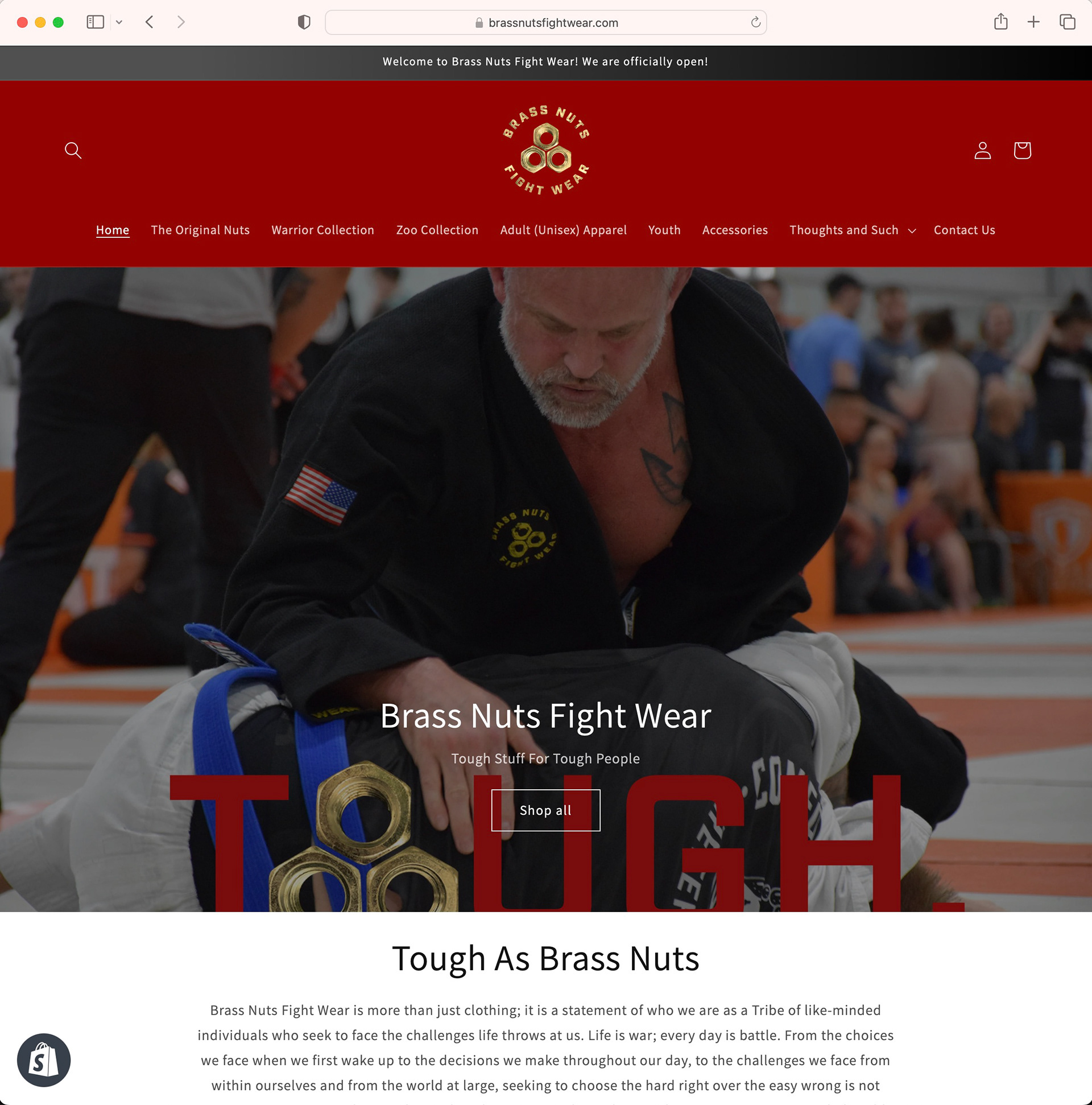 Site creation on online store platform Shopify, site management and updates, logo design, page design, product design