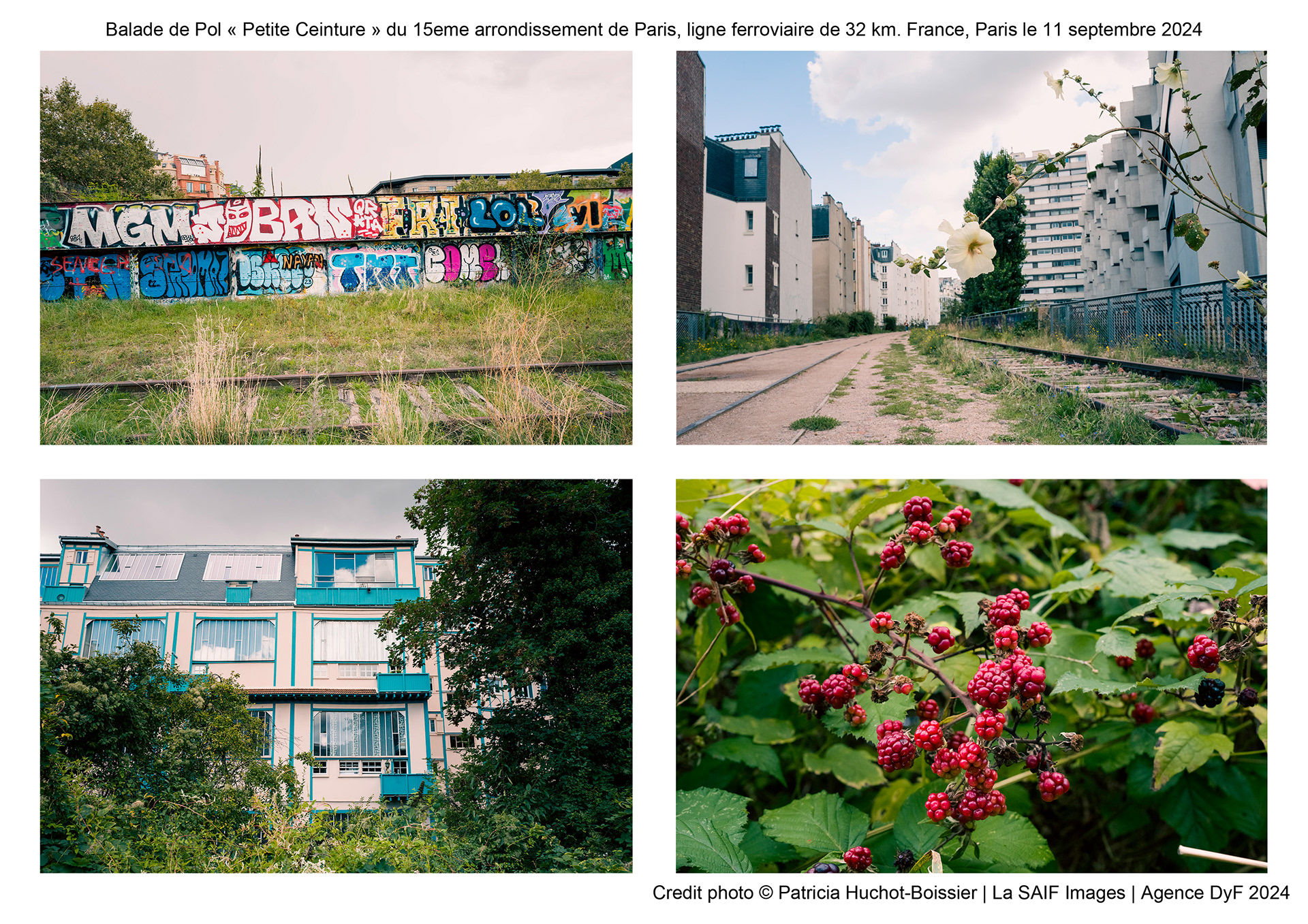 Balade de Pol « Petite Ceinture » du 15eme arrondissement de Paris, ligne ferroviaire de 32 km. France, Paris le 11 septembre 2024.jpg
