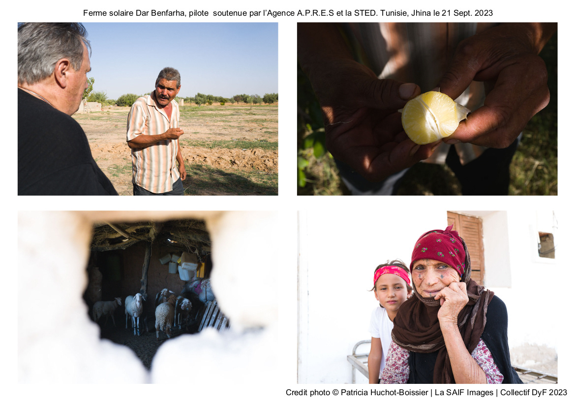 Ferme solaire Dar Benfarha, pilote  soutenue par l’Agence A.P.R.E.S et la STED. Tunisie, Jhina le 21 Sept. 2023