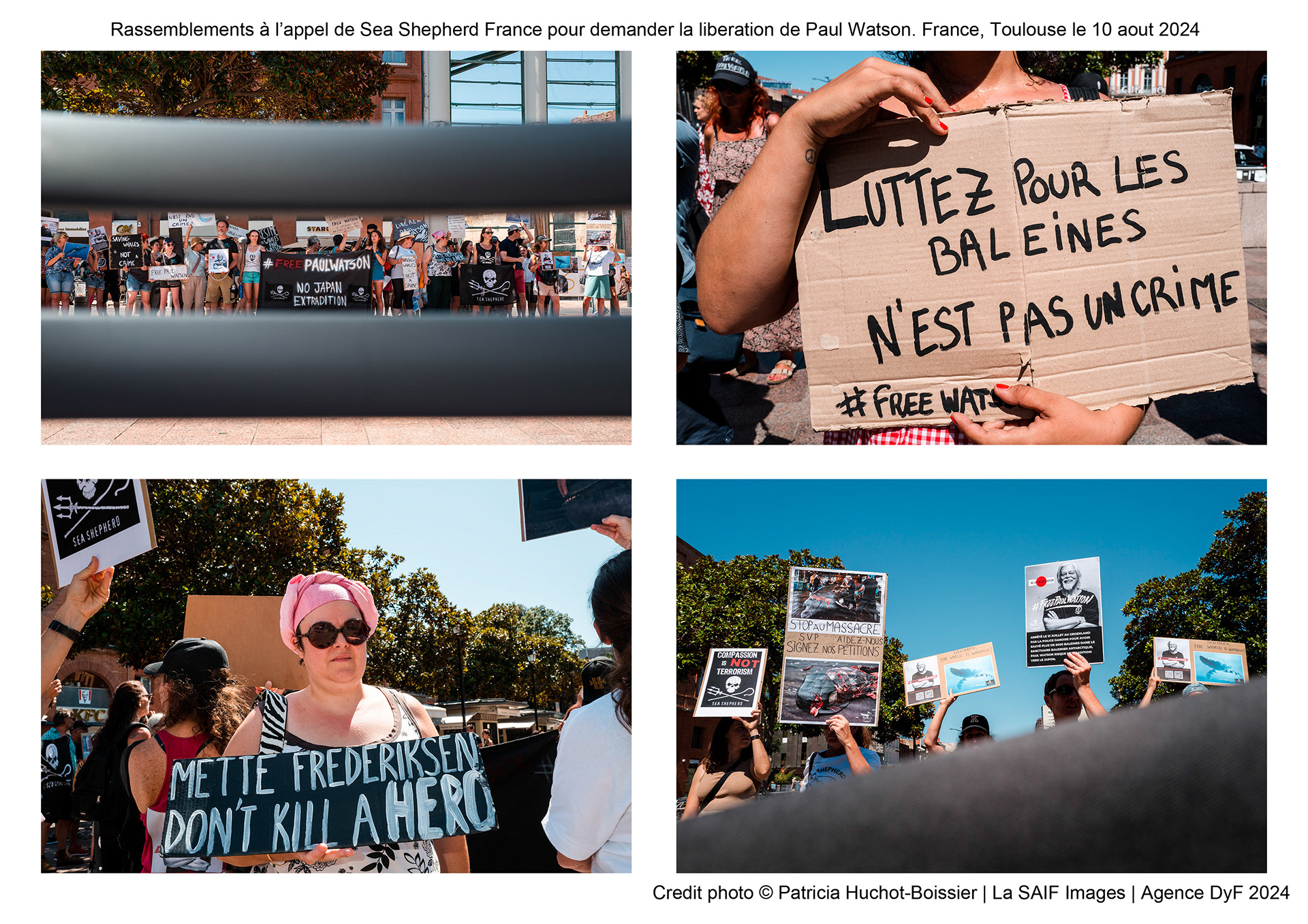 Rassemblements à l’appel de Sea Shepherd France pour demander la liberation de Paul Watson. France, Toulouse le 10 aout 2024