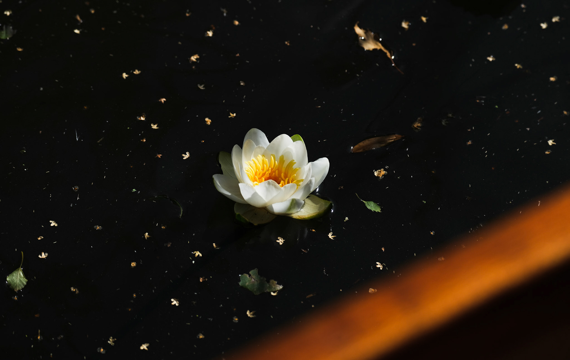 Raaitkou Roegwold Fufjifilm XS10