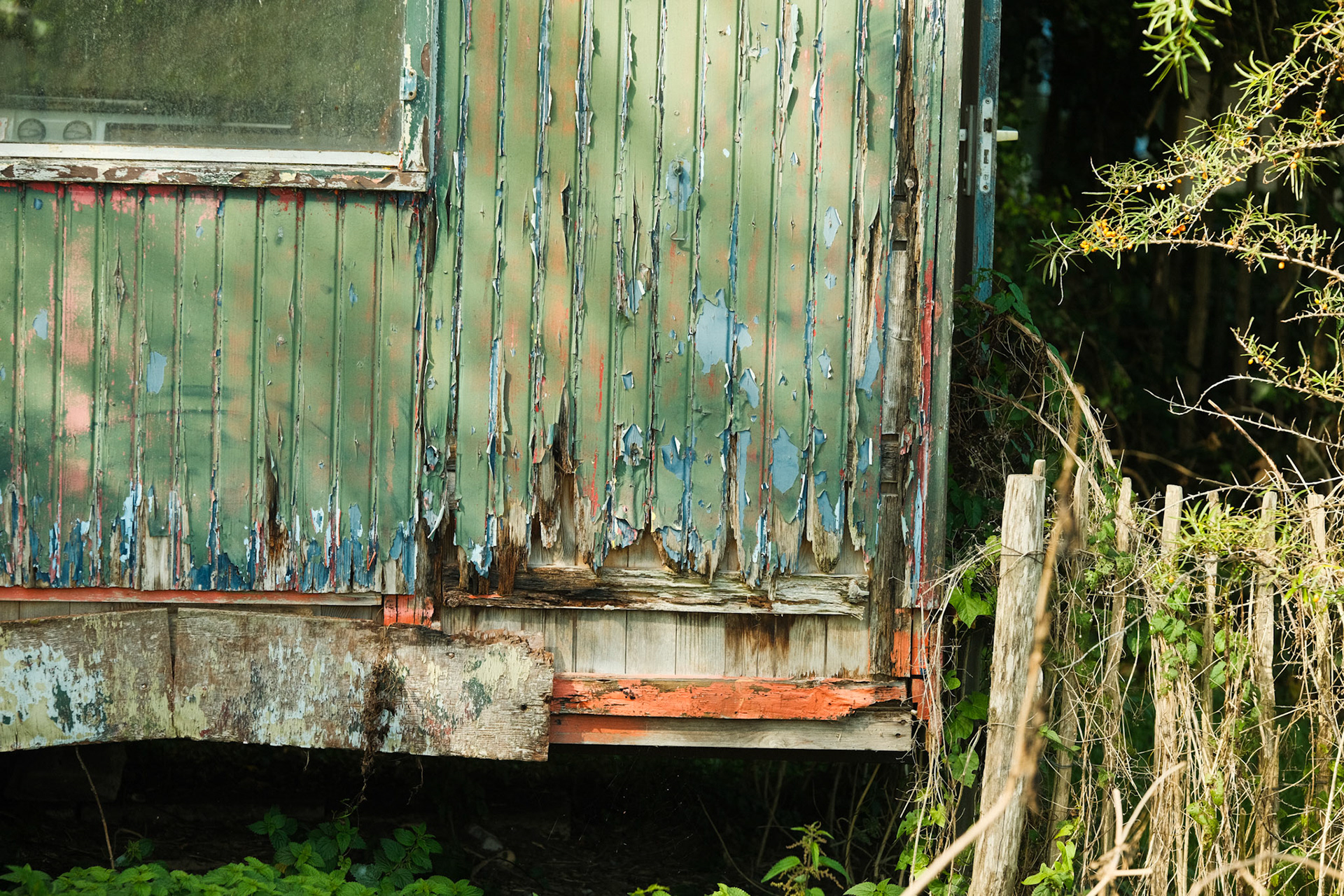 Polina Fujifilm XS10