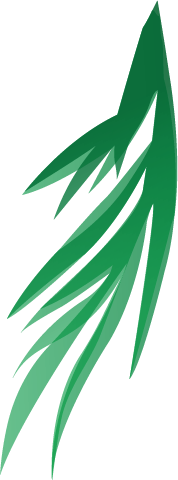 vector by cleations