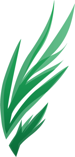 vector by cleations