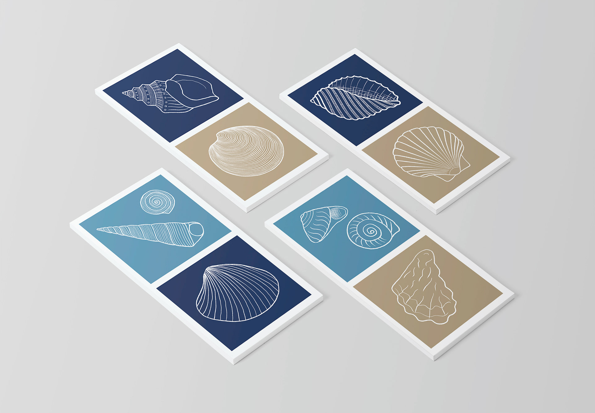 Set of vintage seashell outline illustrations: Ostrich Foot Conch, Ringed Venus Clam, Screw Seashell, New Zealand Cockle Seashell, New Zealand Wheel Seashell, Rock Oyster, Cart-rut, White Rock Shell, Curved Scallop