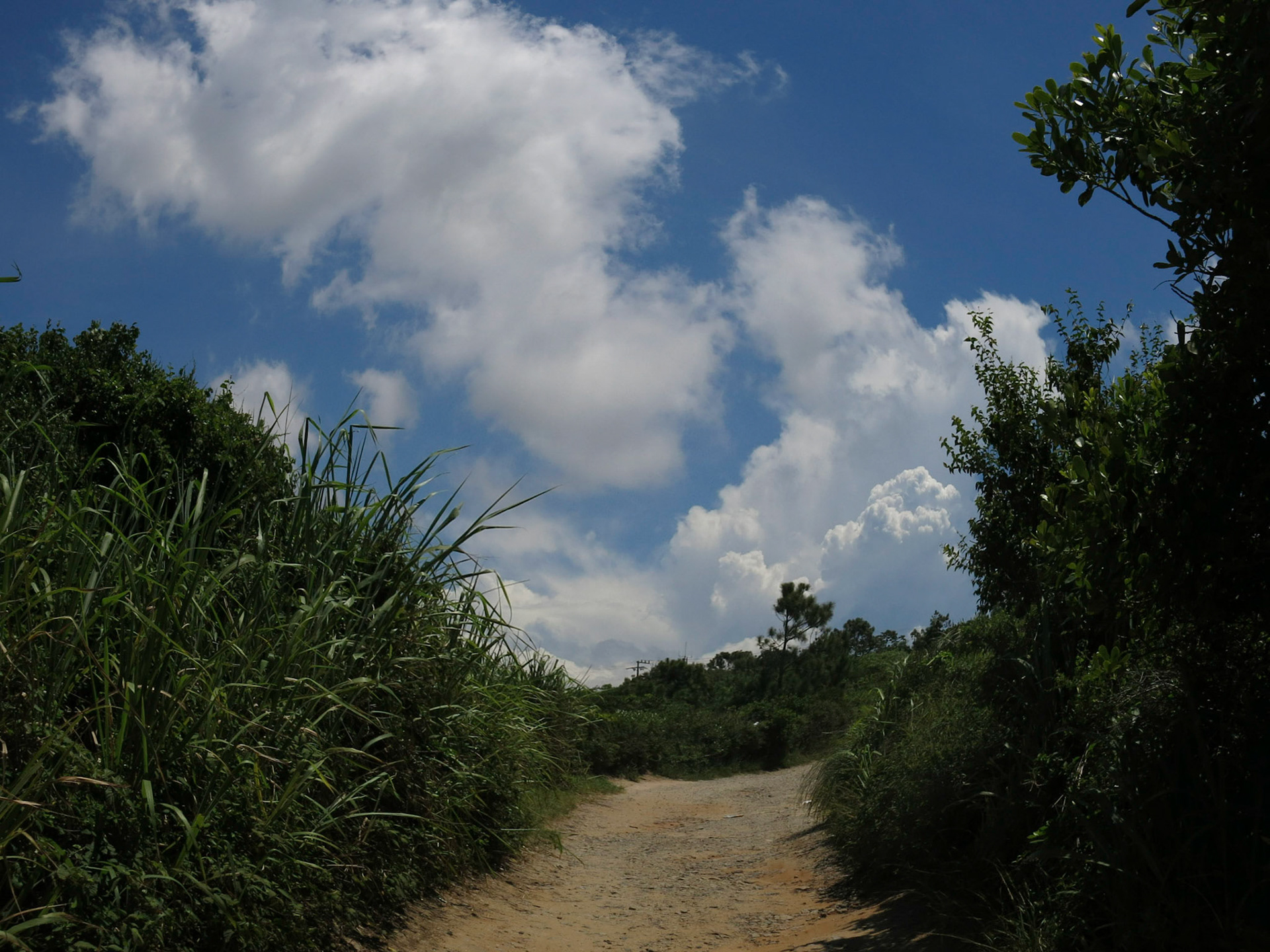 não importa aonde vai dar (3)