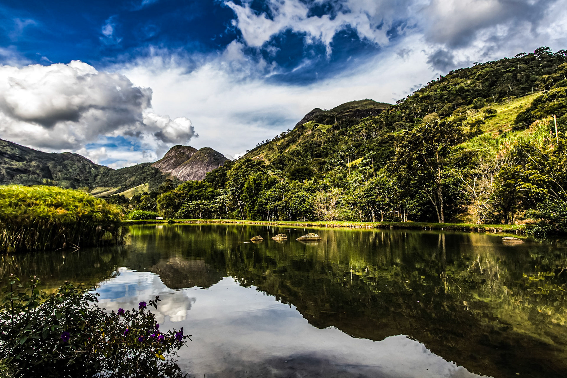 o dia da criação (4)