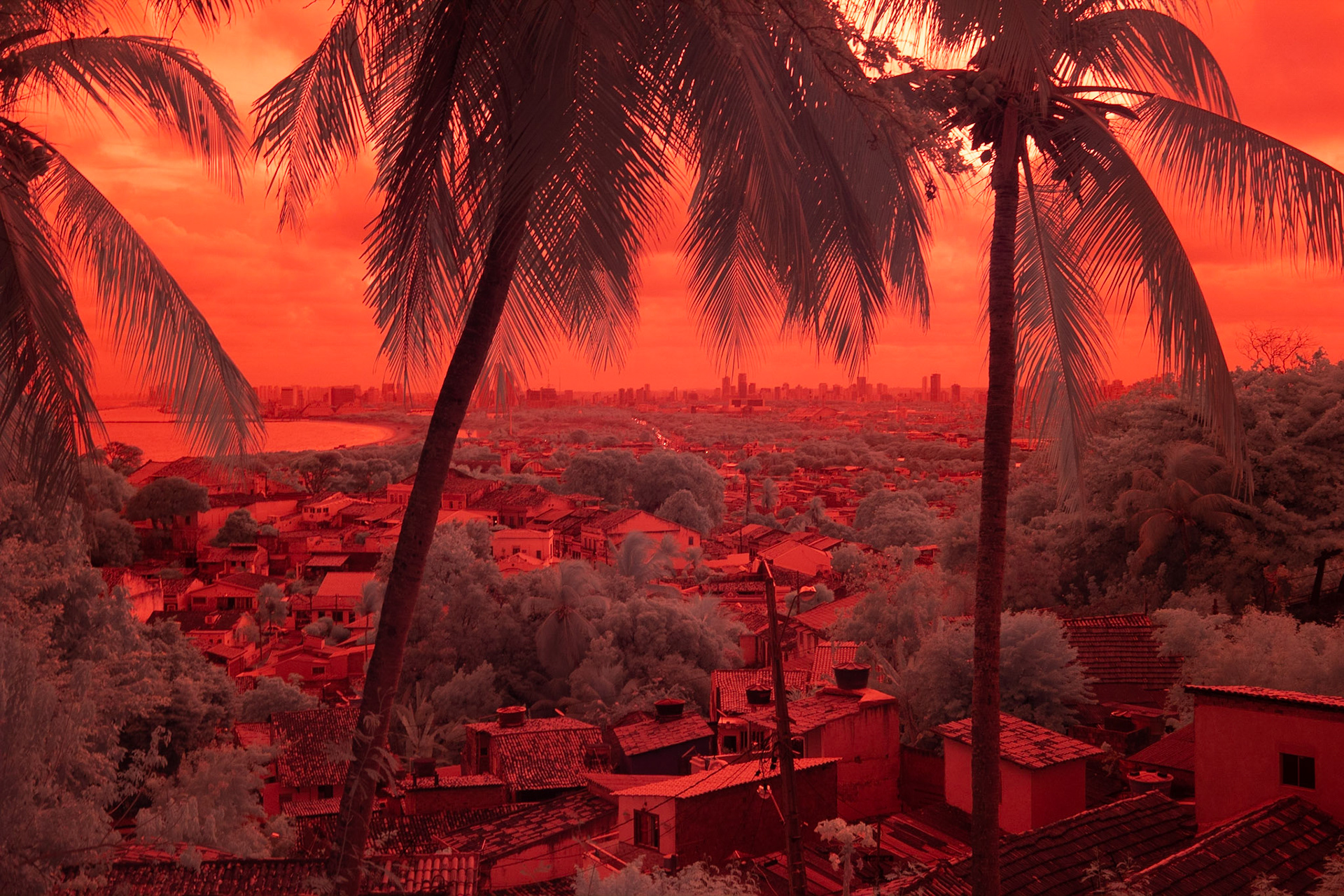 num outro mundo, este mundo 4