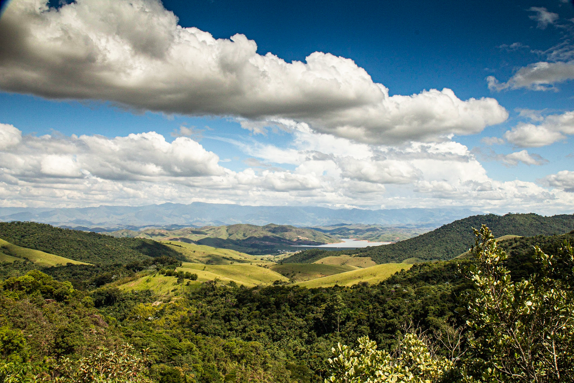o dia da criação (2)