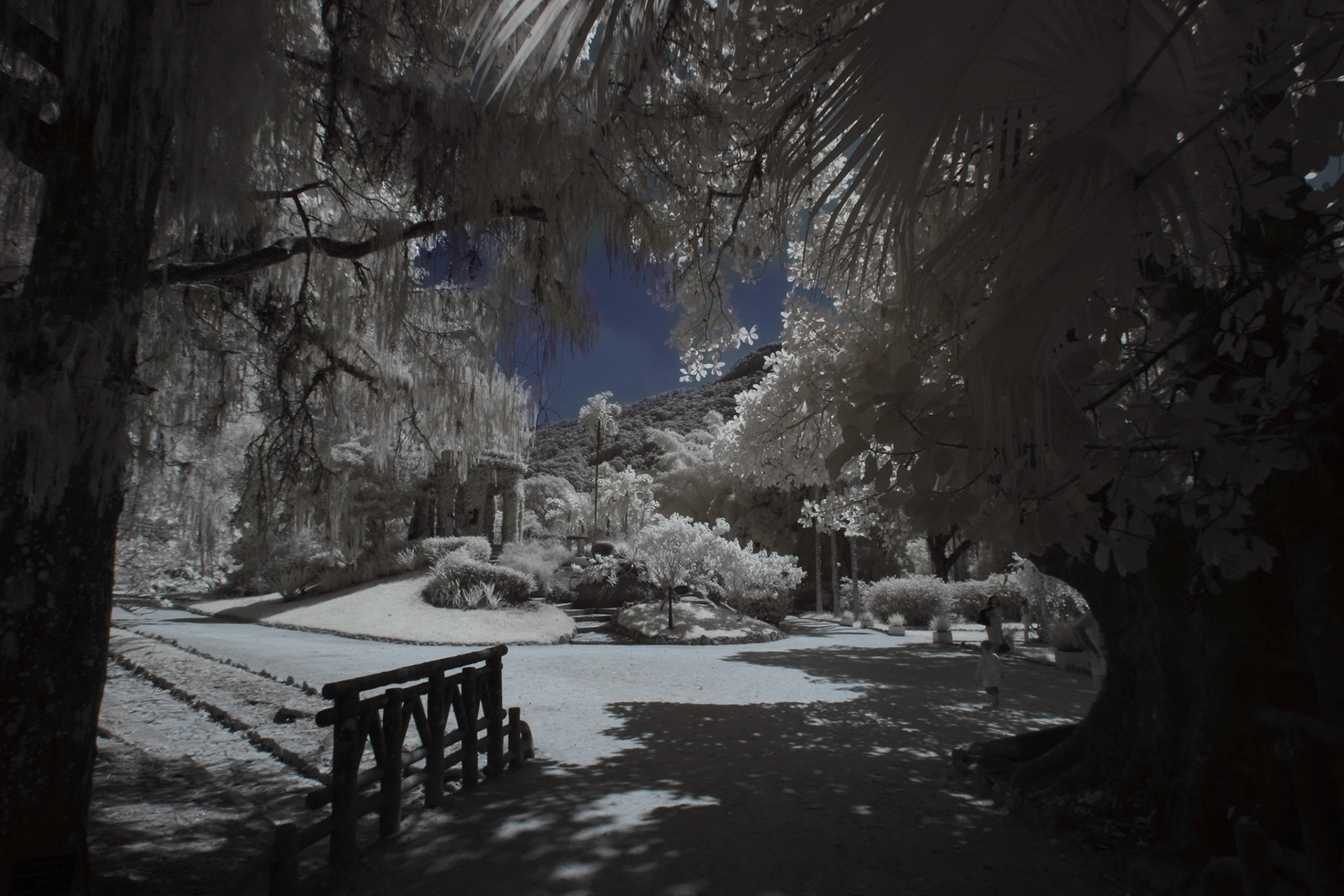 num outro mundo, este mundo 6