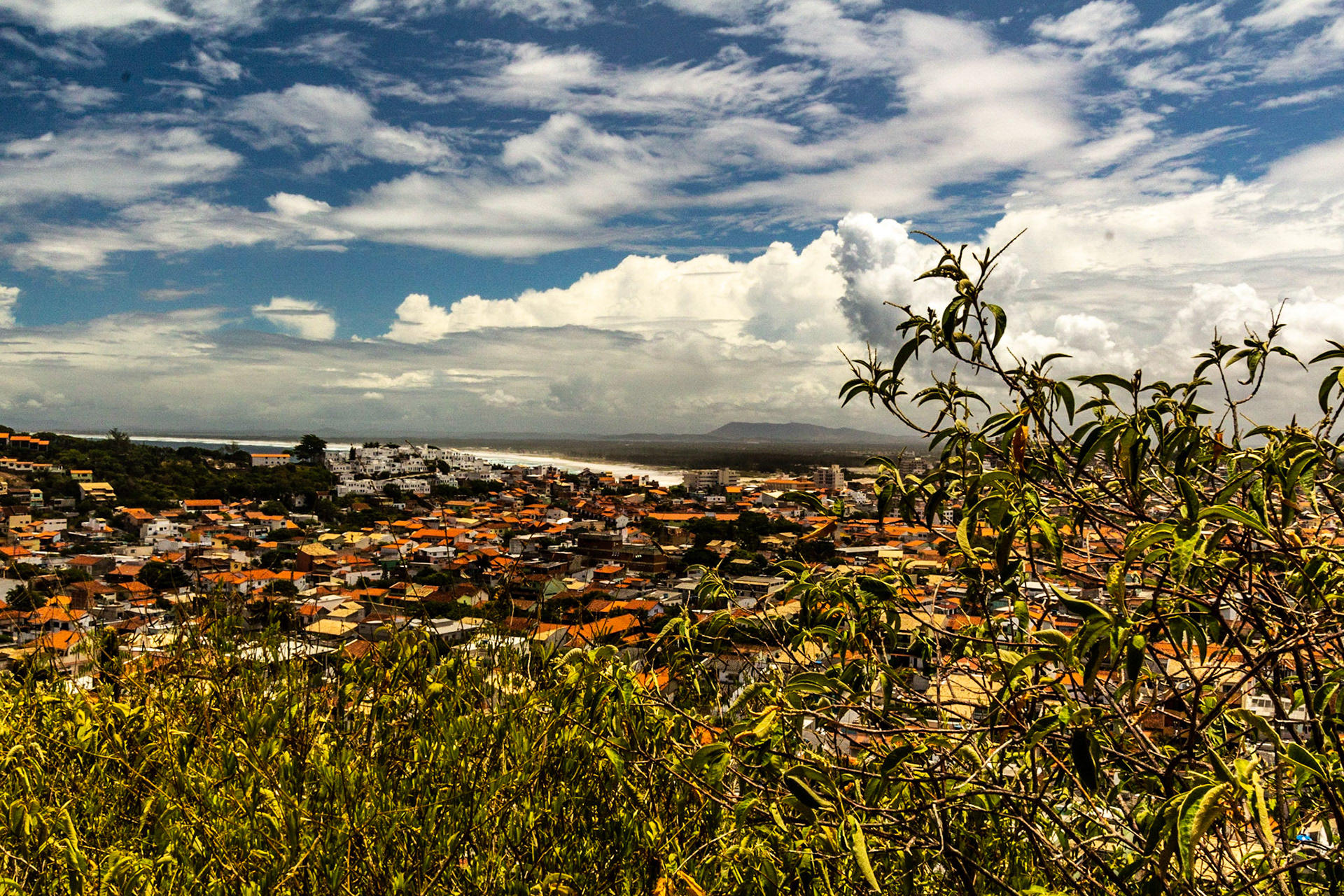dependendo da luz tudo brilha 