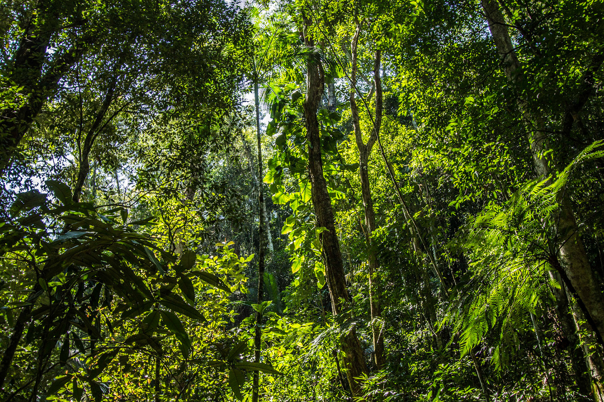 estou sorrindo e não vês (2)