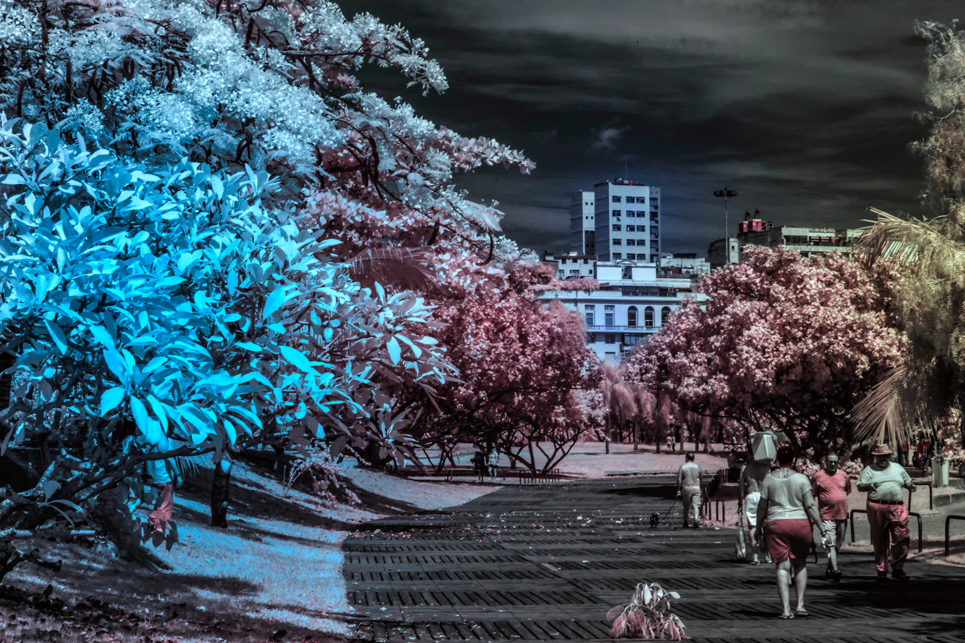 num outro mundo, este mundo 5