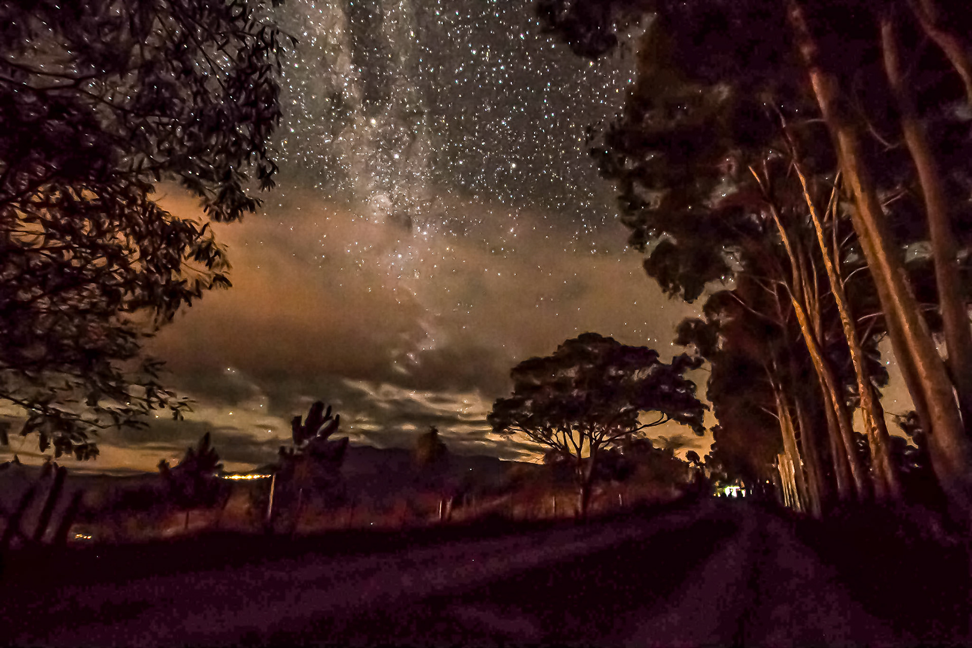 a noite da criação 