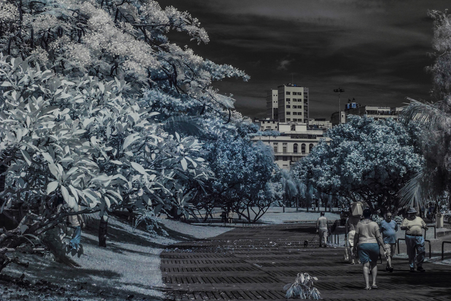 num outro mundo, este mundo