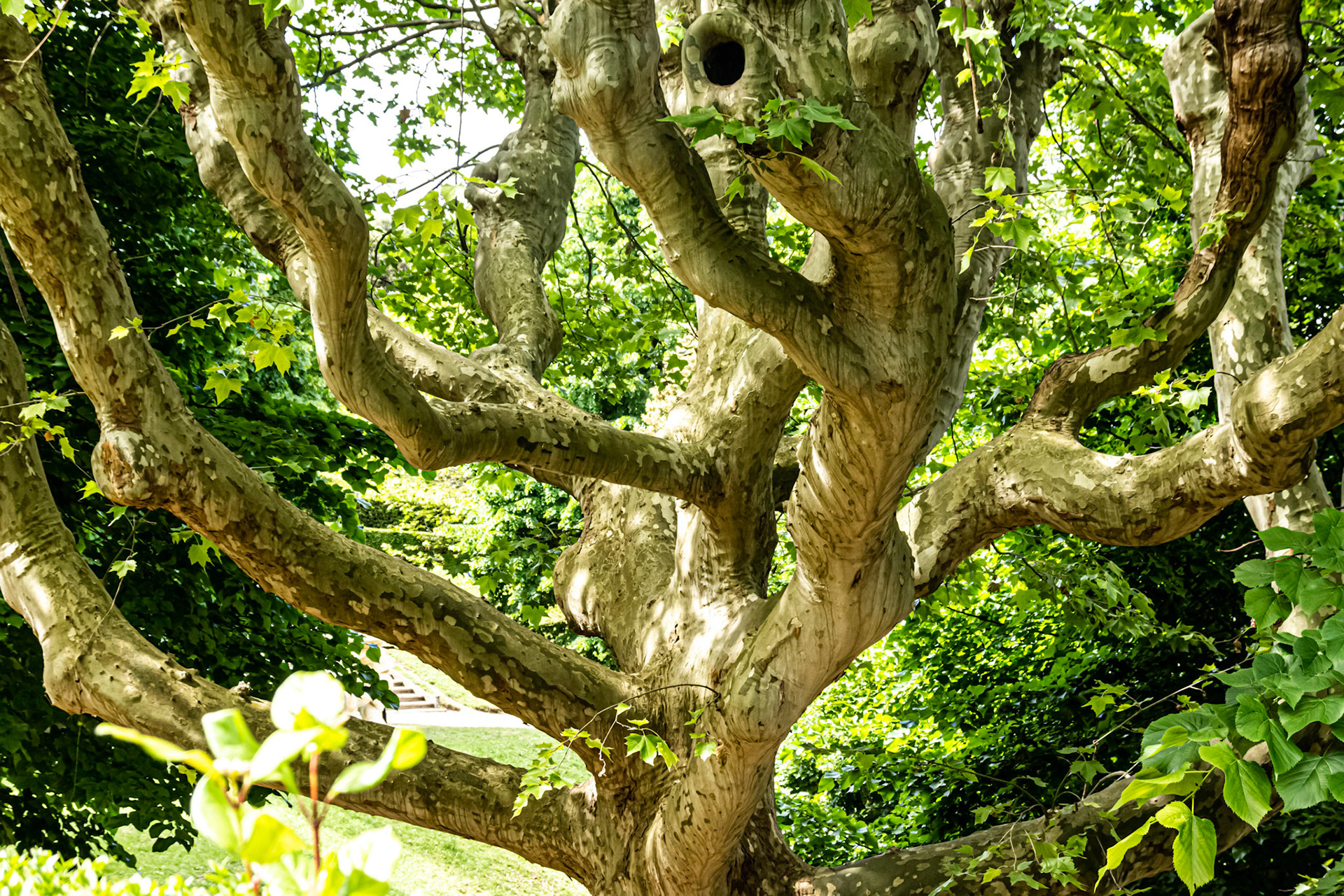 estou sorrindo e não vês 
