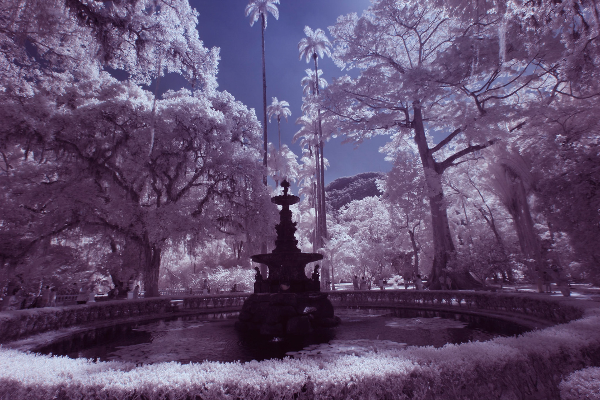 num outro mundo, este mundo 3