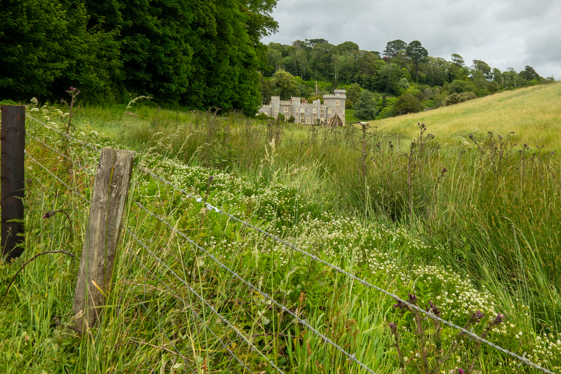 Day Three: Caerhays Castle