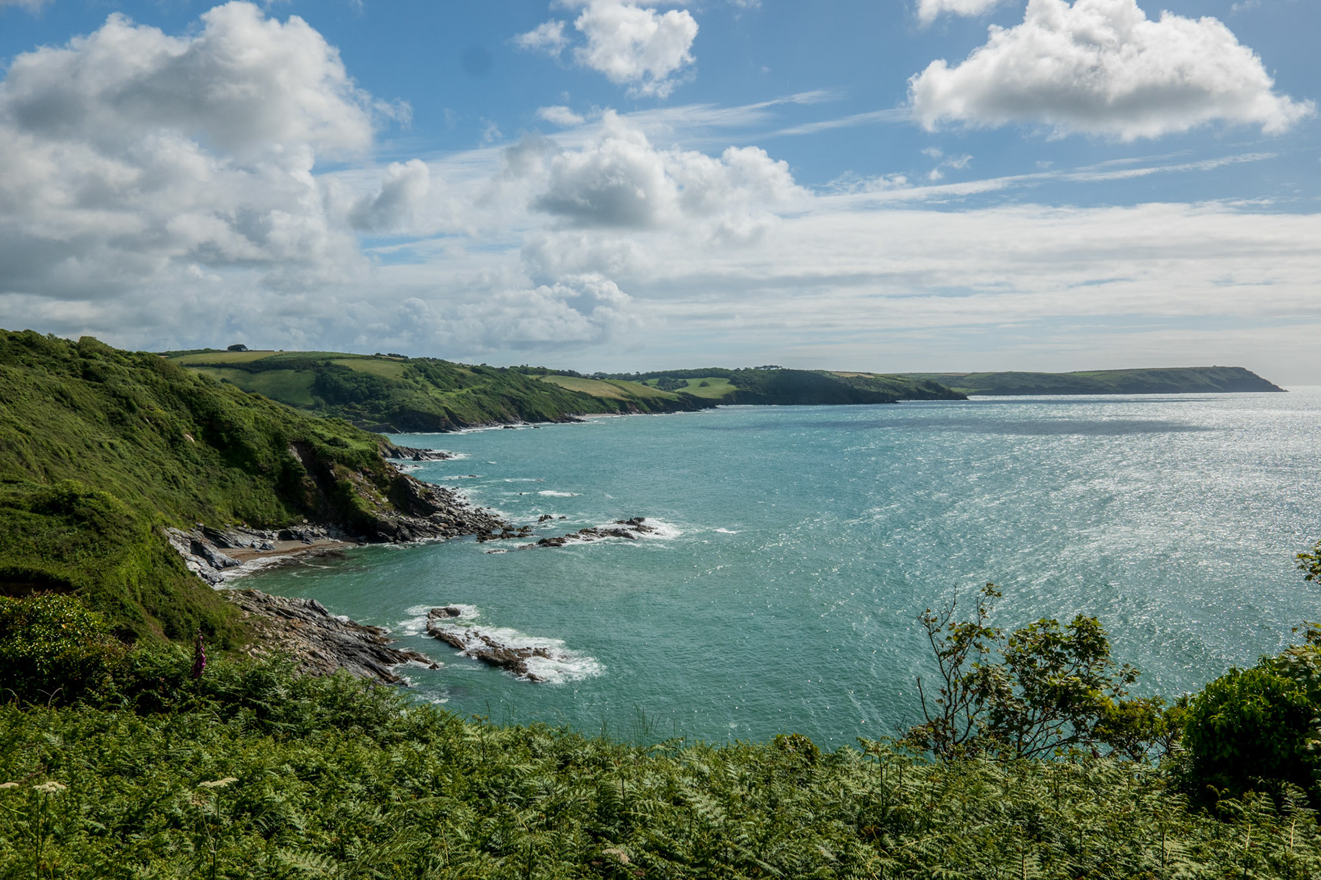 Day Three: Looking towaard Nare Head