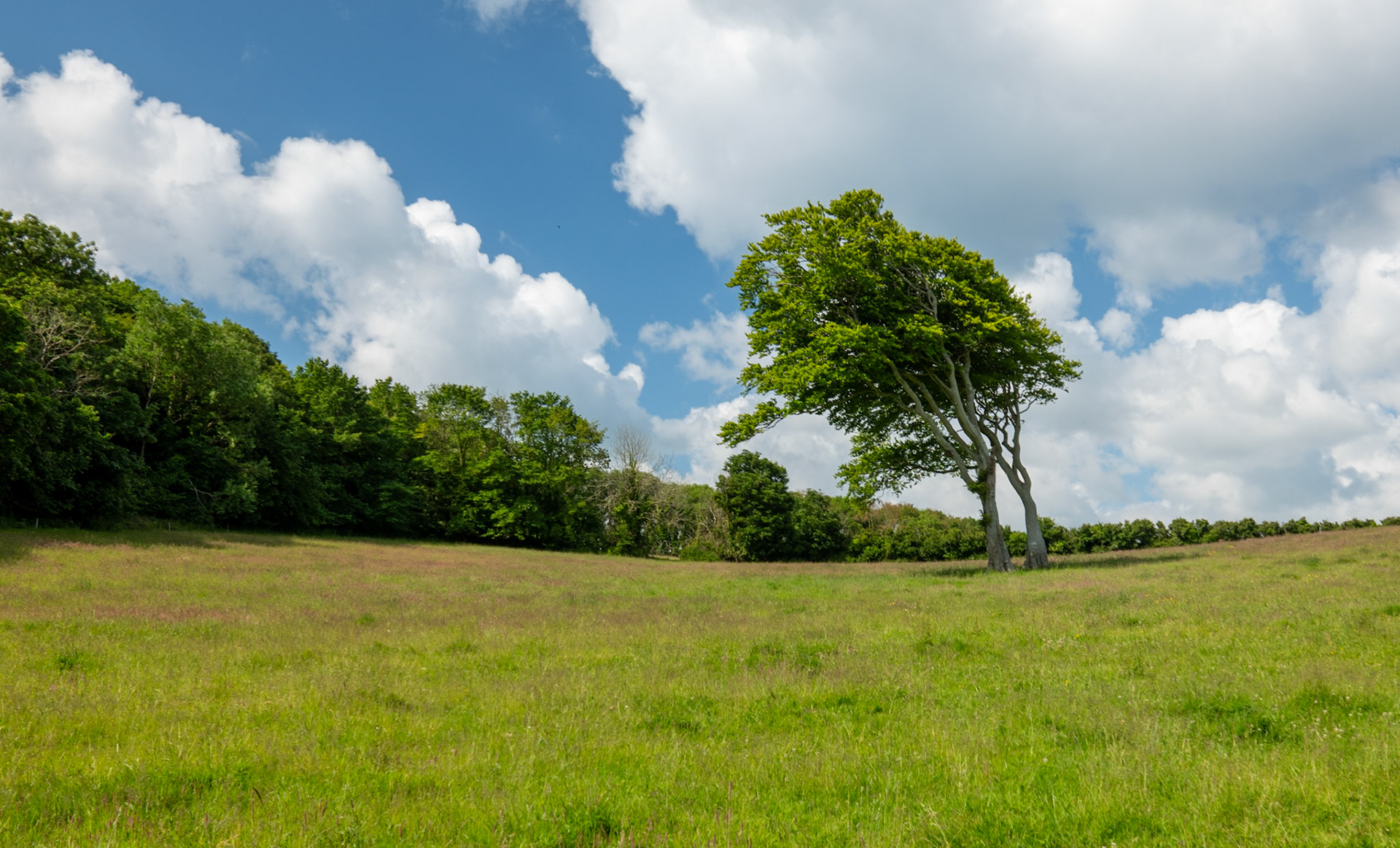Day One: Prevailing Winds, St. Anthony's Head