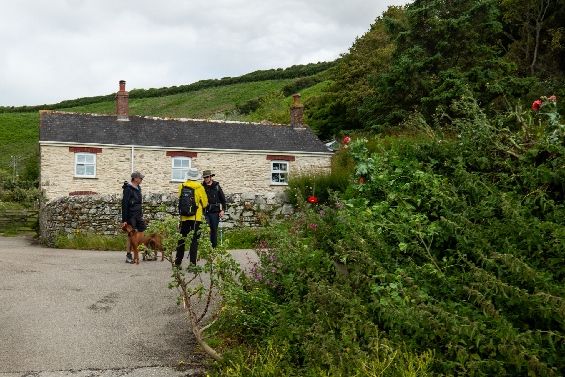 Day Three: A Man and his Dog, West Portholland
