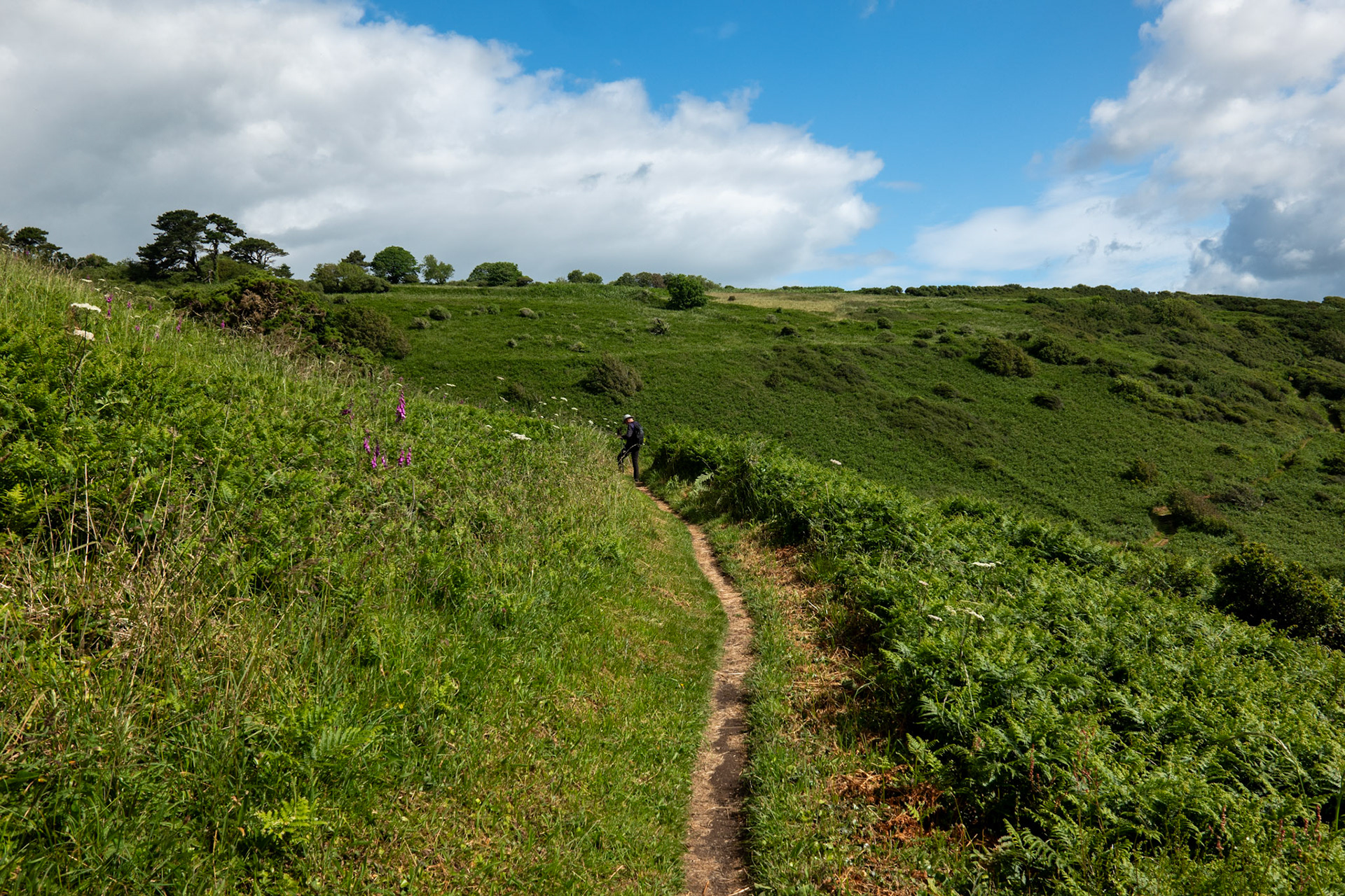 Day Three: Near Portholland