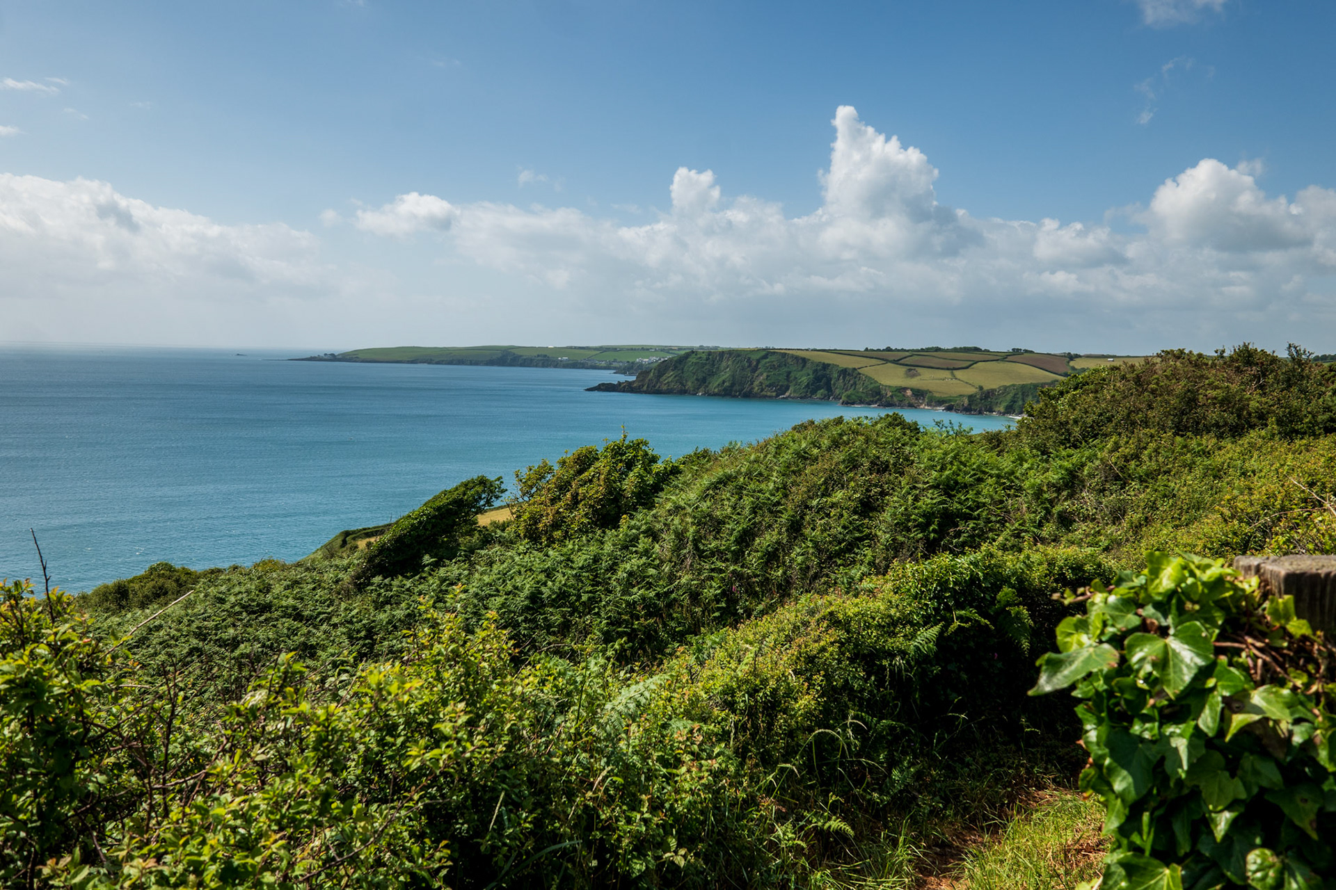 Day Four: Looking Back Toward Mevagissey