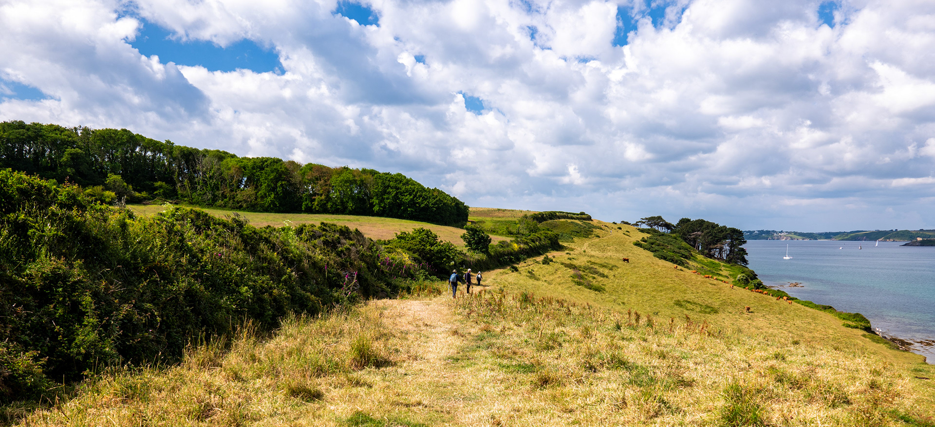 Day One: The Roseland Peninsula