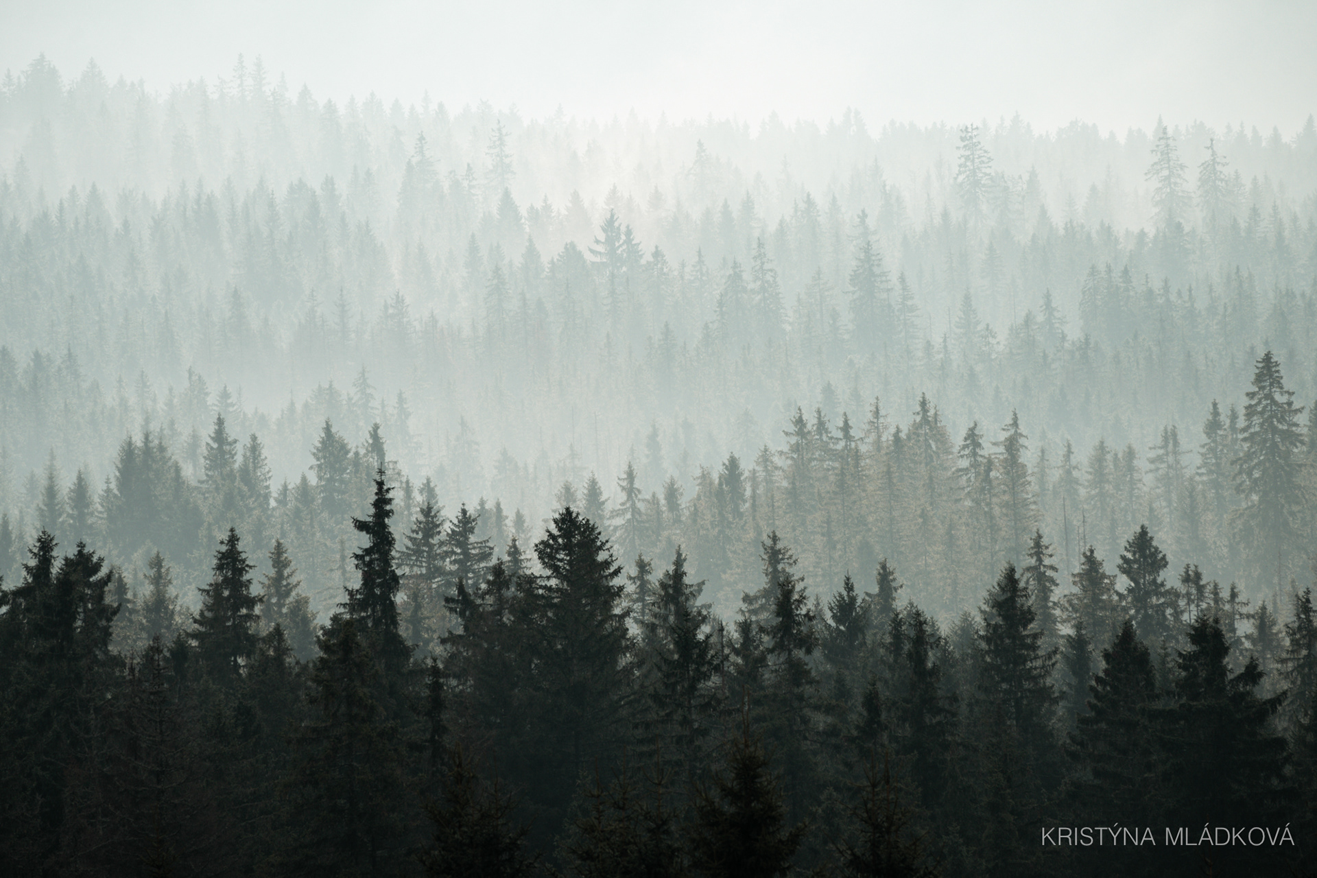 Šumava national park