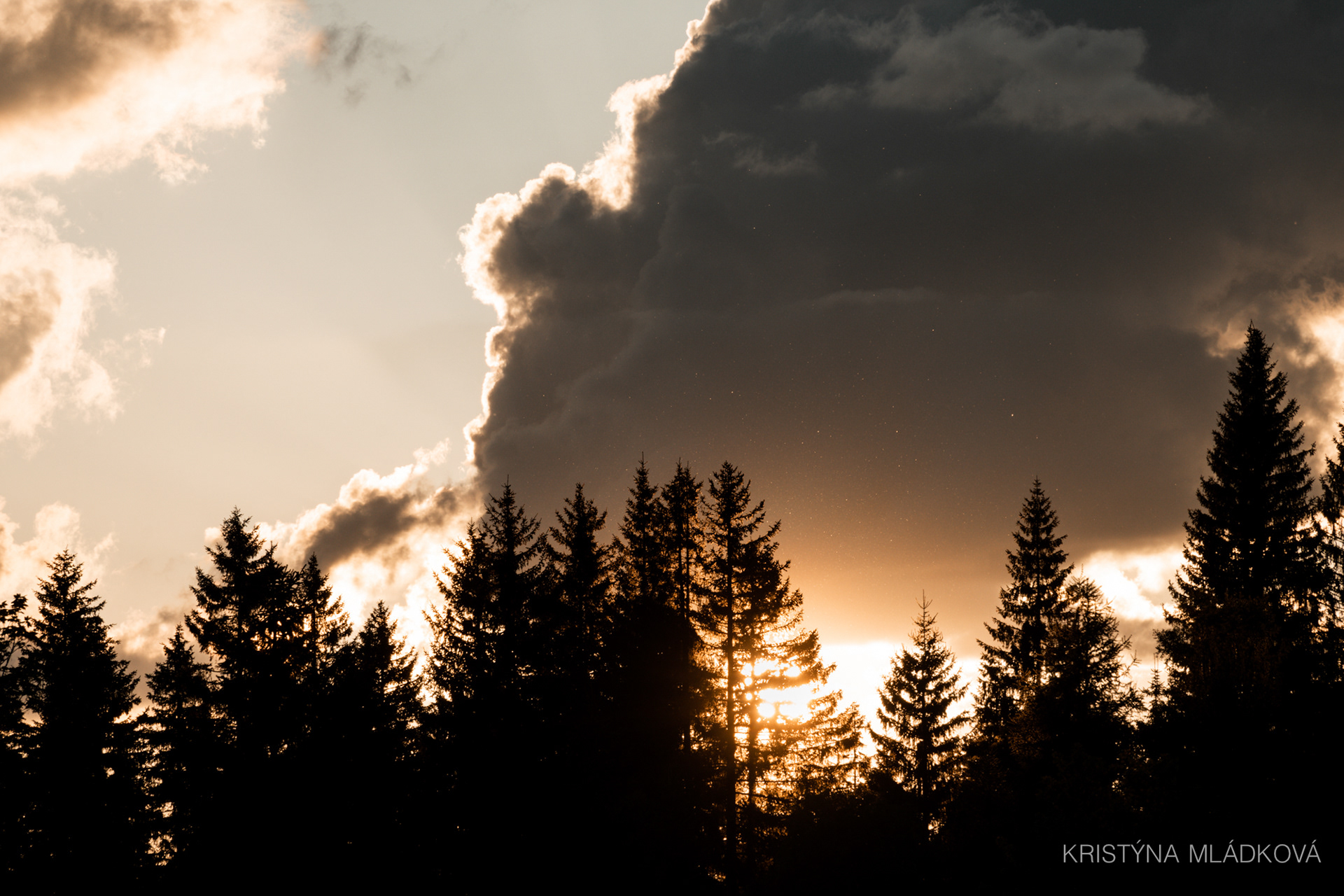 Šumava national park