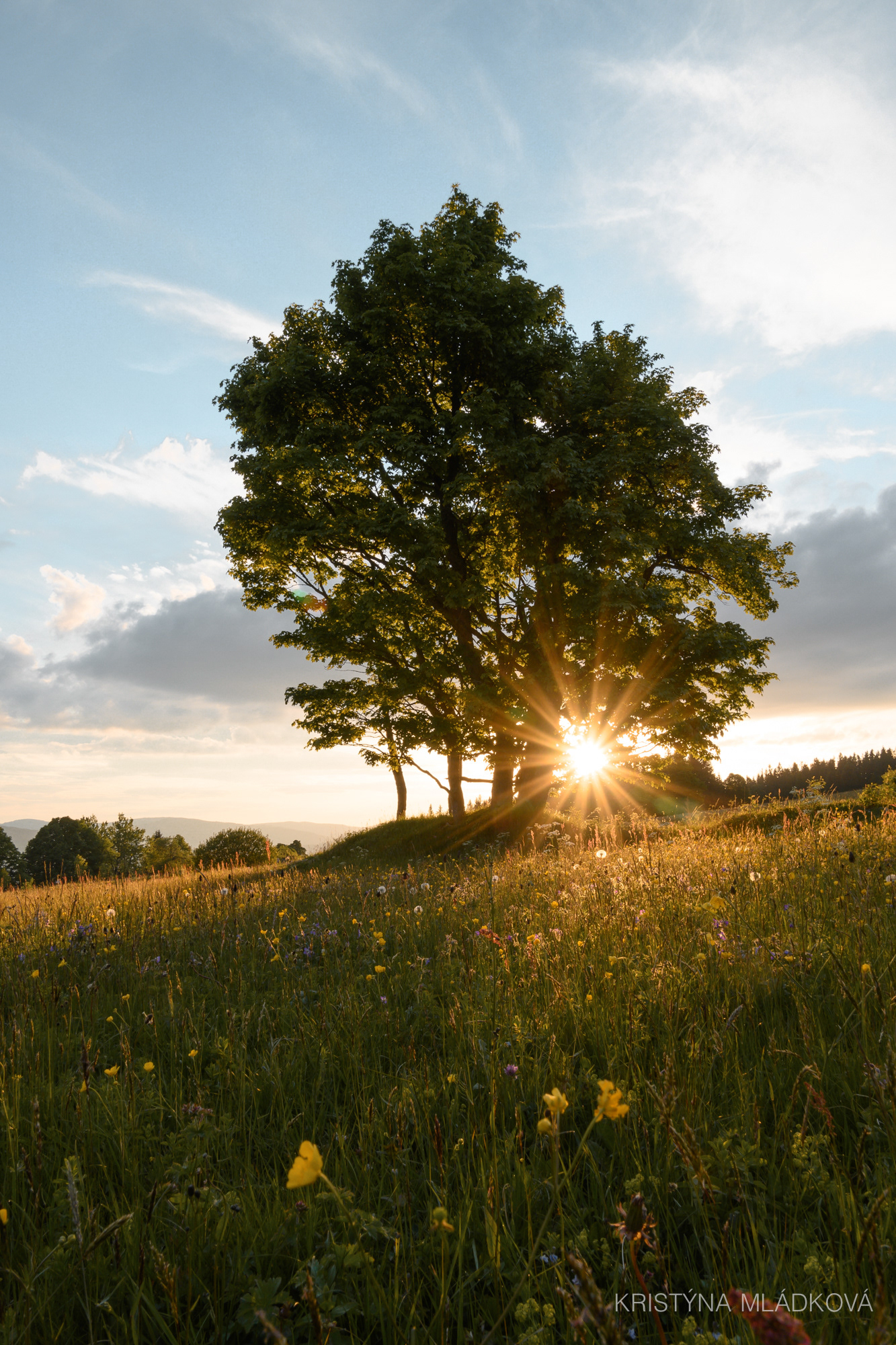 Šumava national park