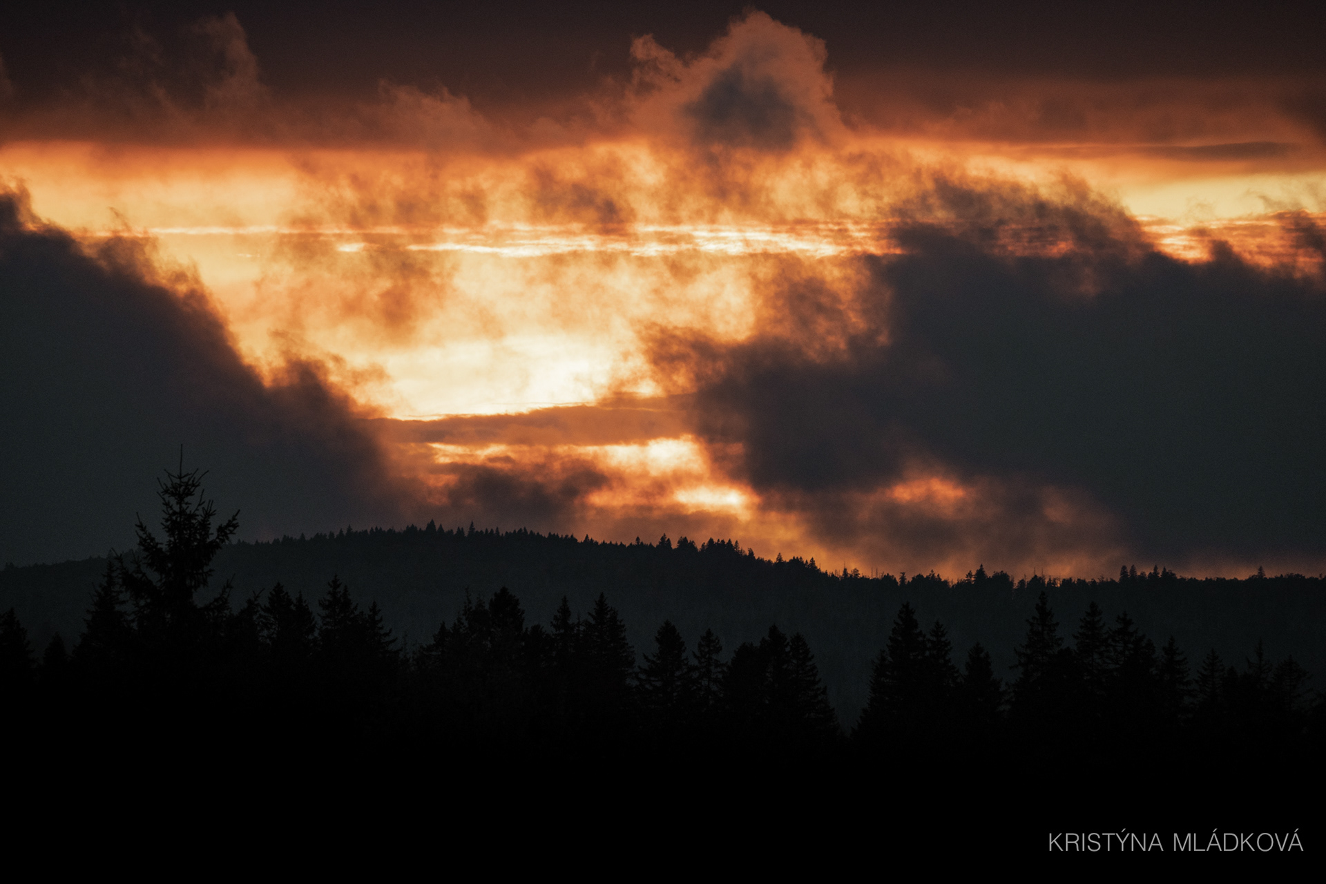 Šumava national park