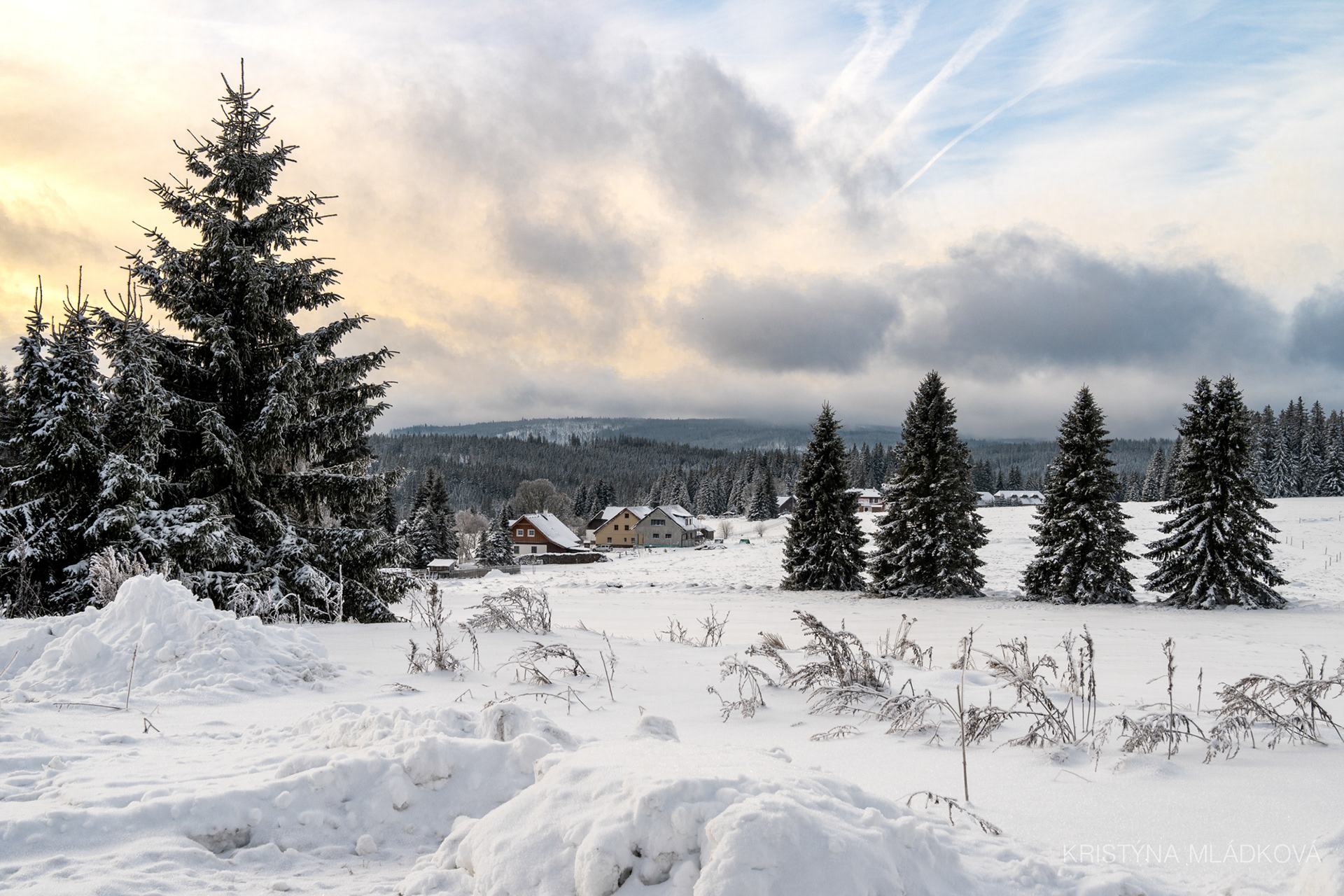 Šumava national park