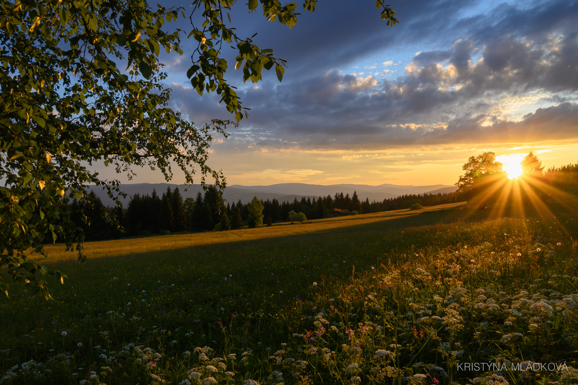 Šumava national park