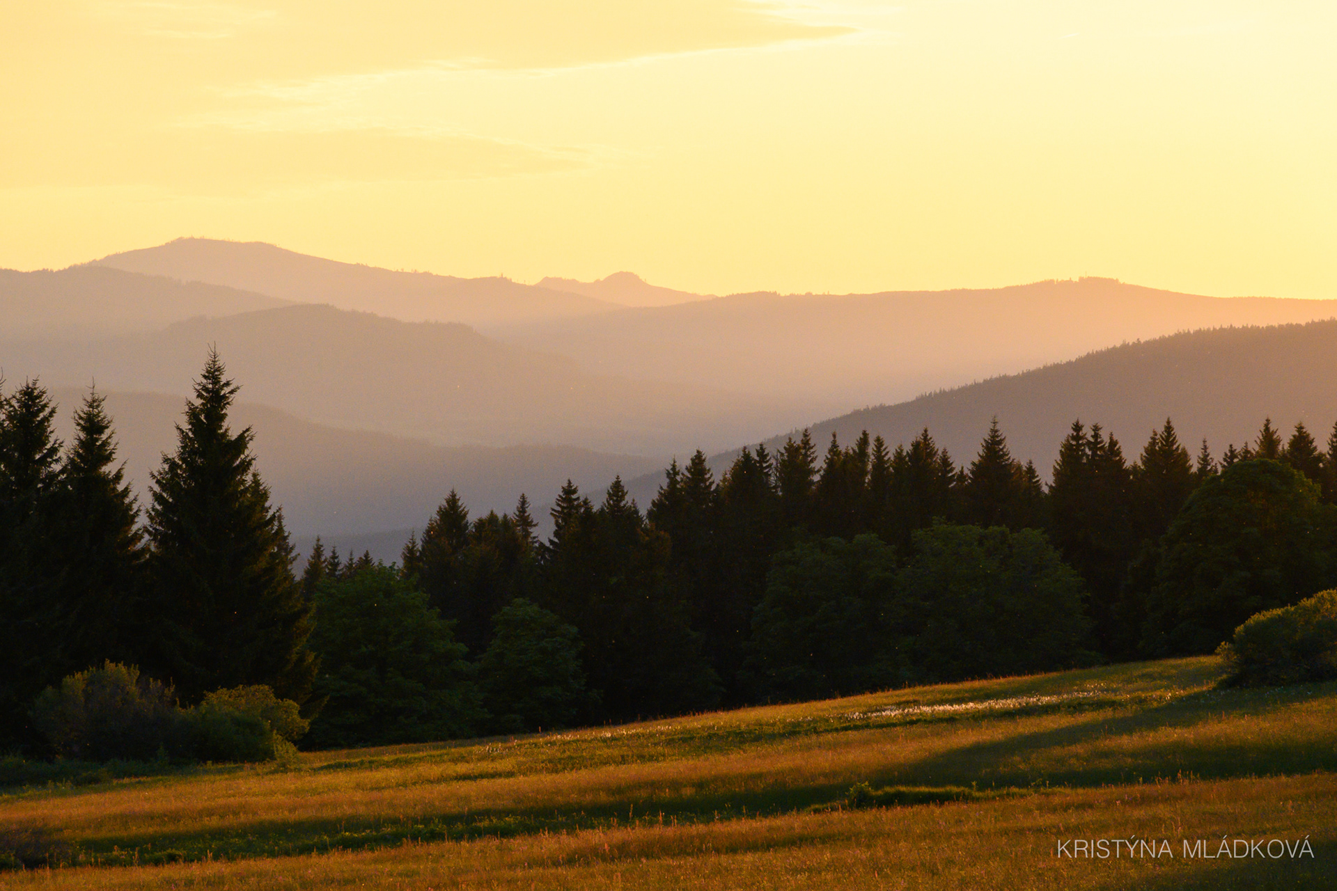 Šumava national park
