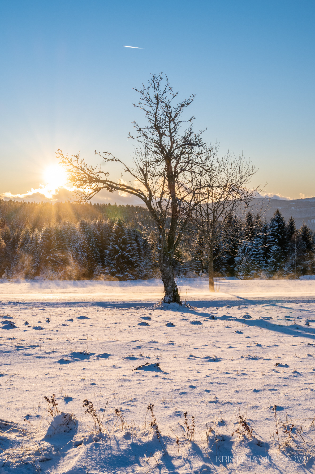 Šumava national park