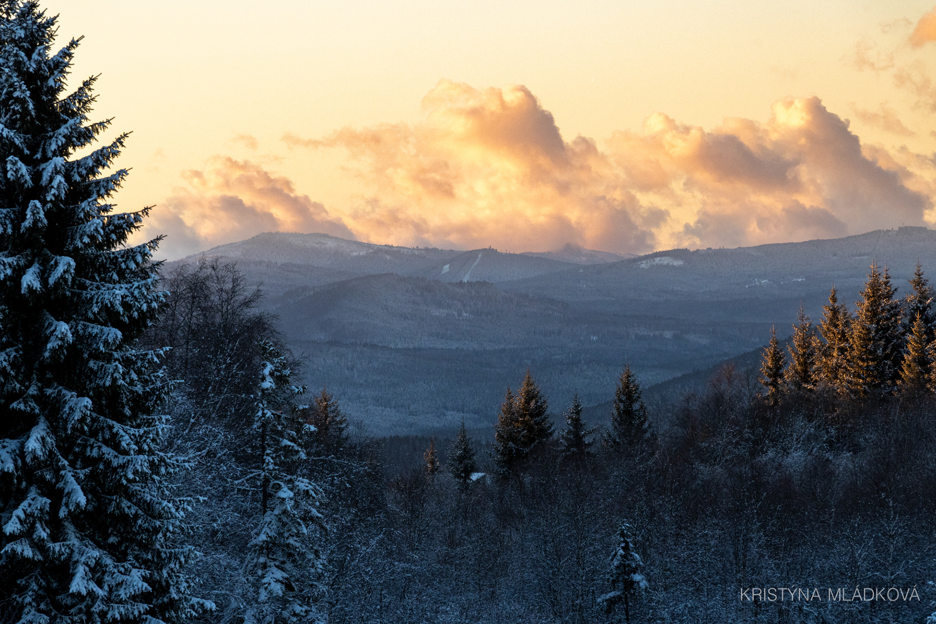 Šumava national park