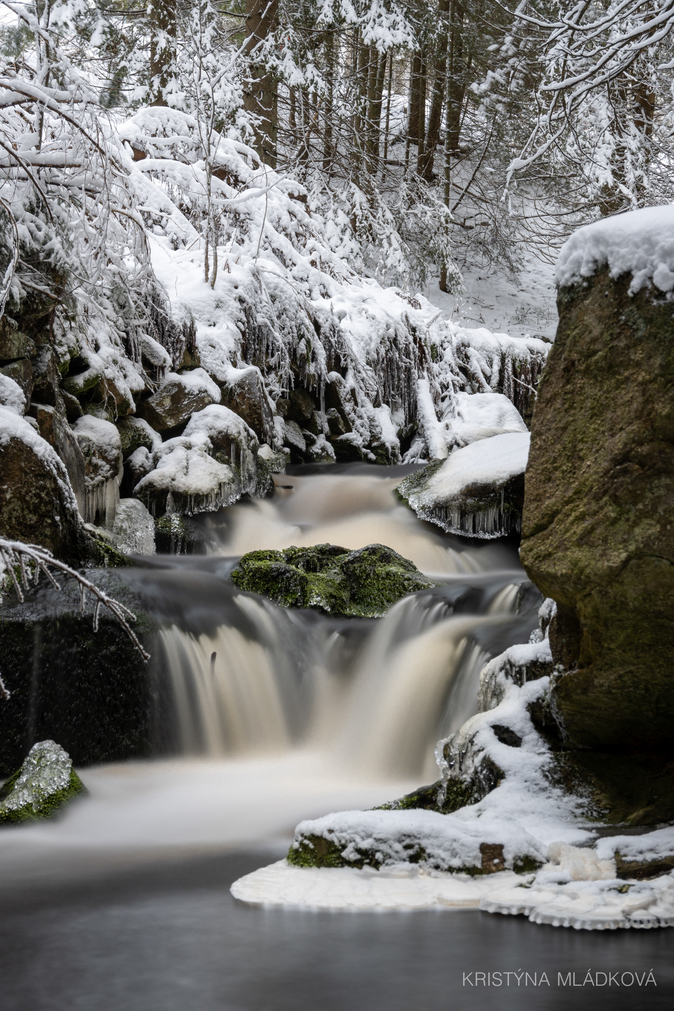 Šumava national park
